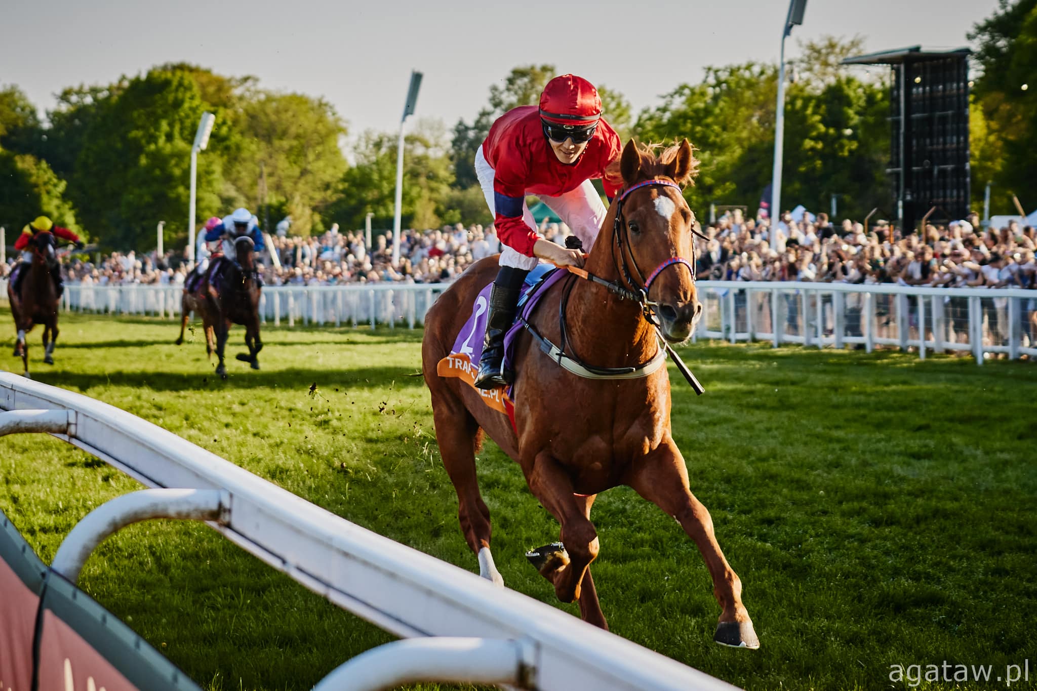 img: Derbowy kandydat Kijów sprawdzi się na Służewcu