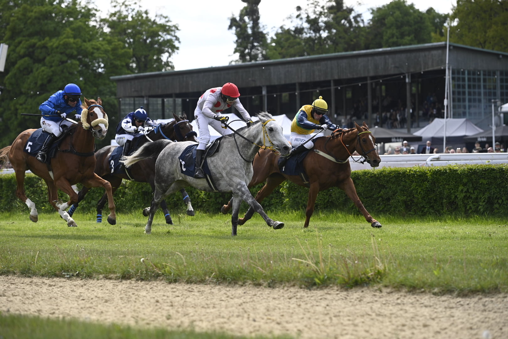 img: Sezon przeszkodowy rozpoczęty – gonitwę dnia wygrał White Wood