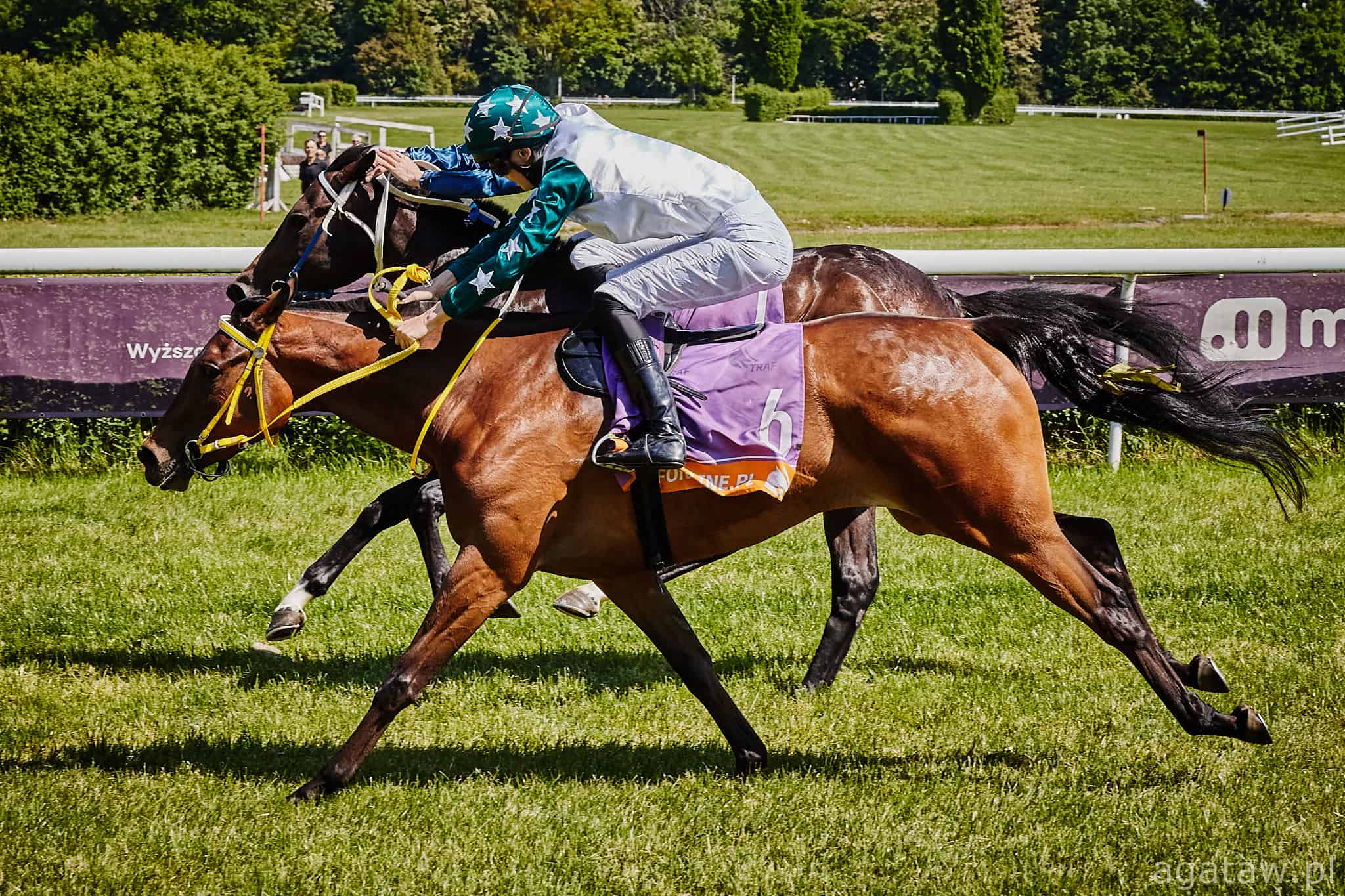 img: Weekend na Służewcu: Marlena’s Prince w Nagrodzie Aschabada