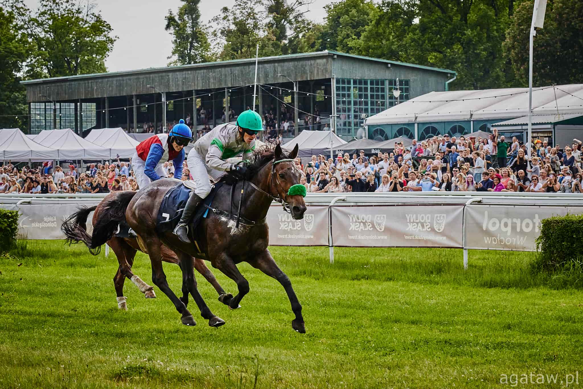 img: Her Him wygrał Svenskt Grand National, Domina trzecia w Champion Hurdle