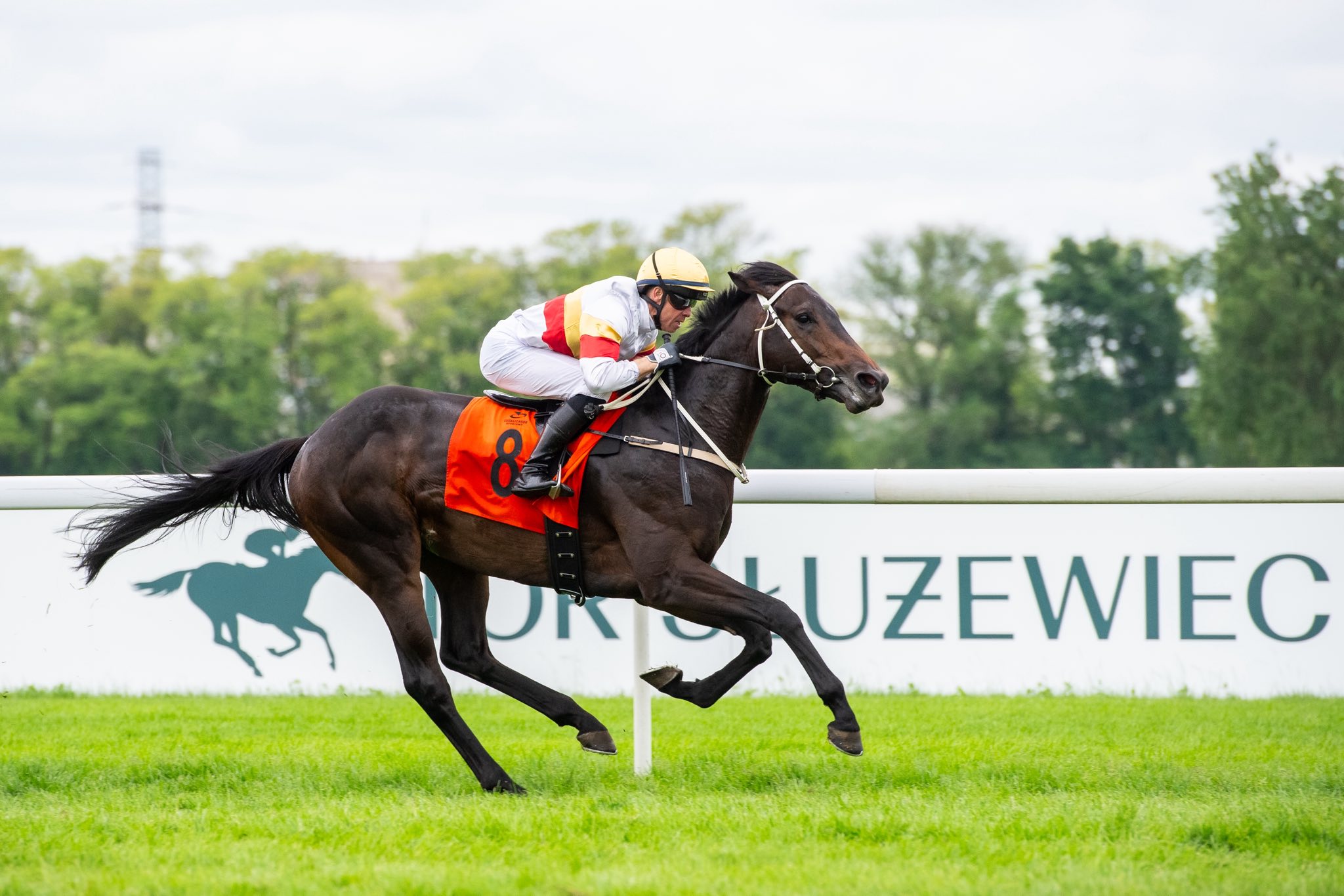 img: Westminster Derby z partynicką Cloud Street