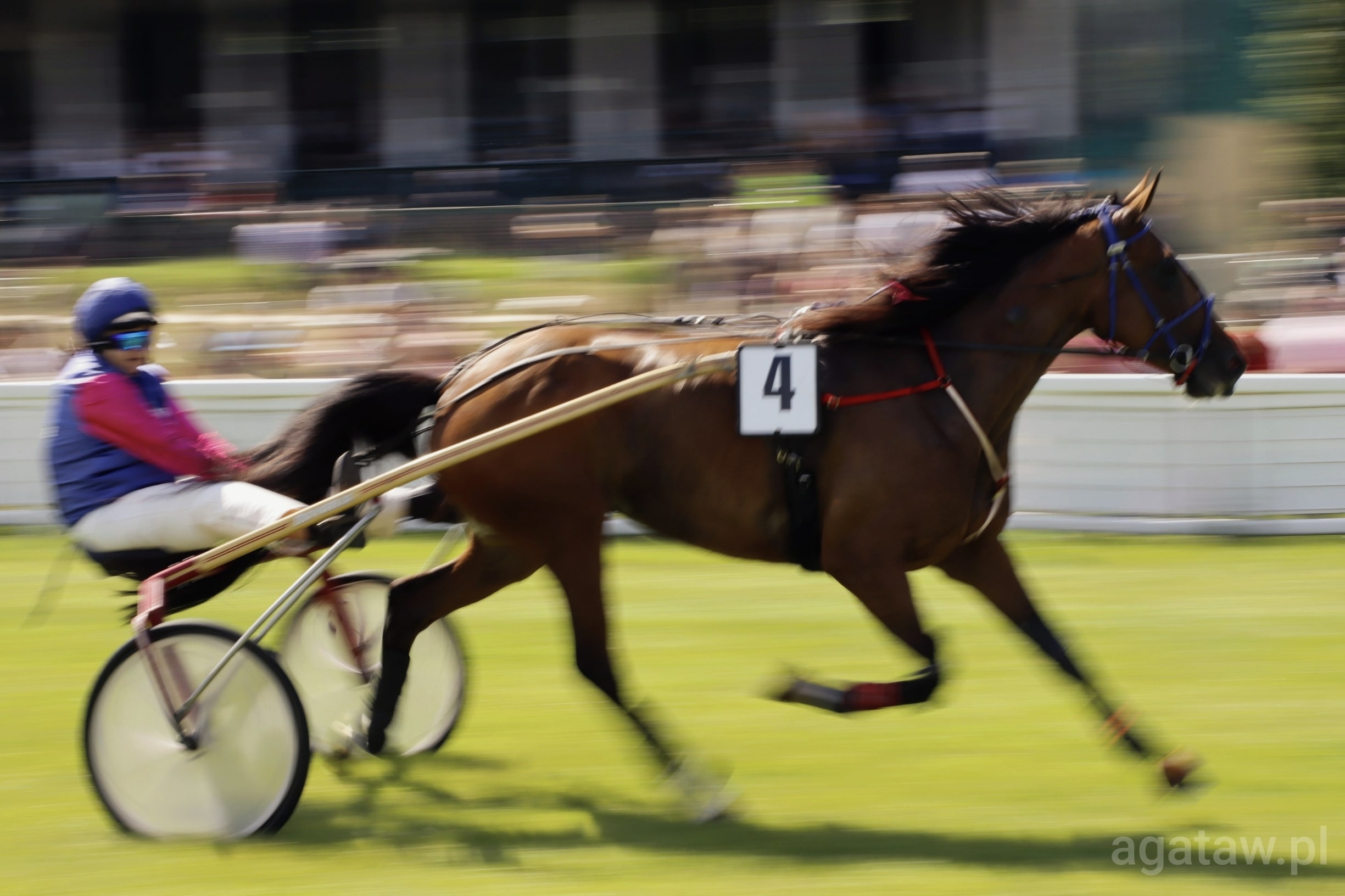 img: Soma Bay o nos przed Akuratem w Nagrodzie Wrocław Fashion Outlet