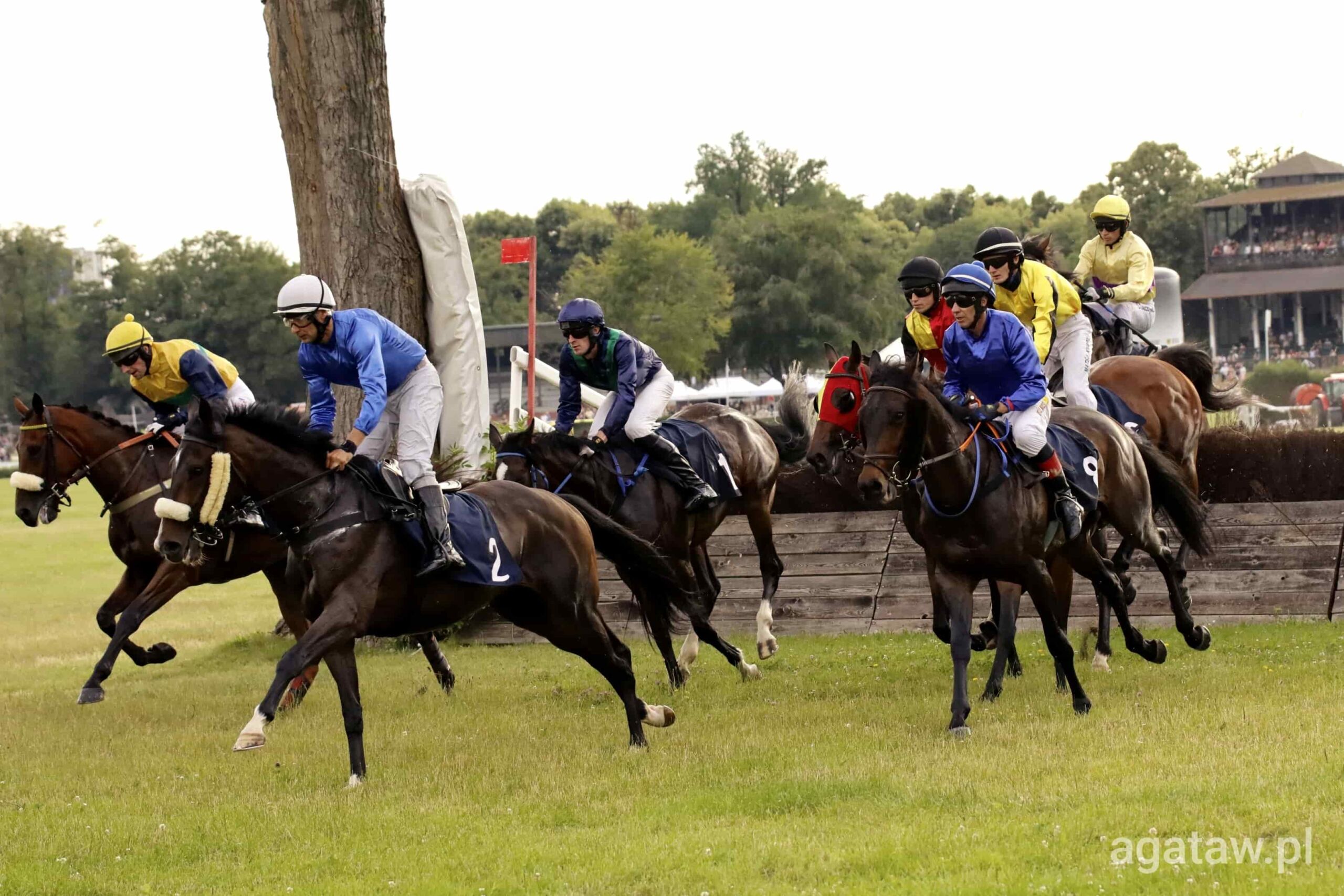 img: White Wood w Nagrodzie Tiumena nie miał sobie równych