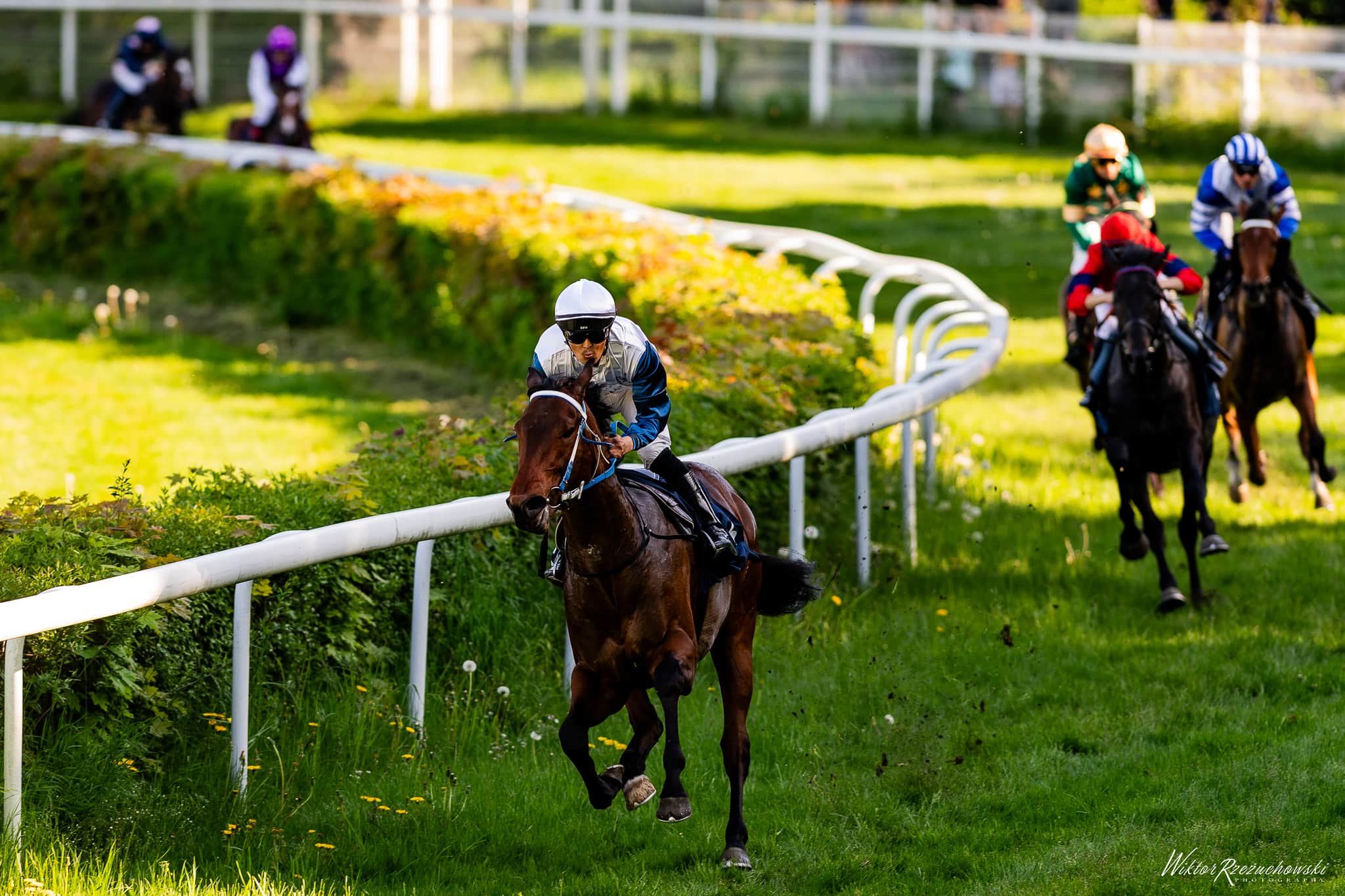 img: Przedderbowe testy w niedzielę na Służewcu