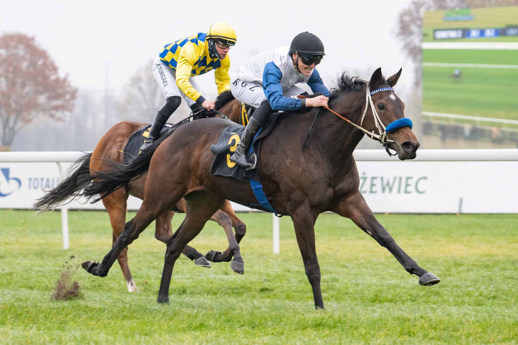 img: Lady Charlotte wystartuje w Deutsches Derby!