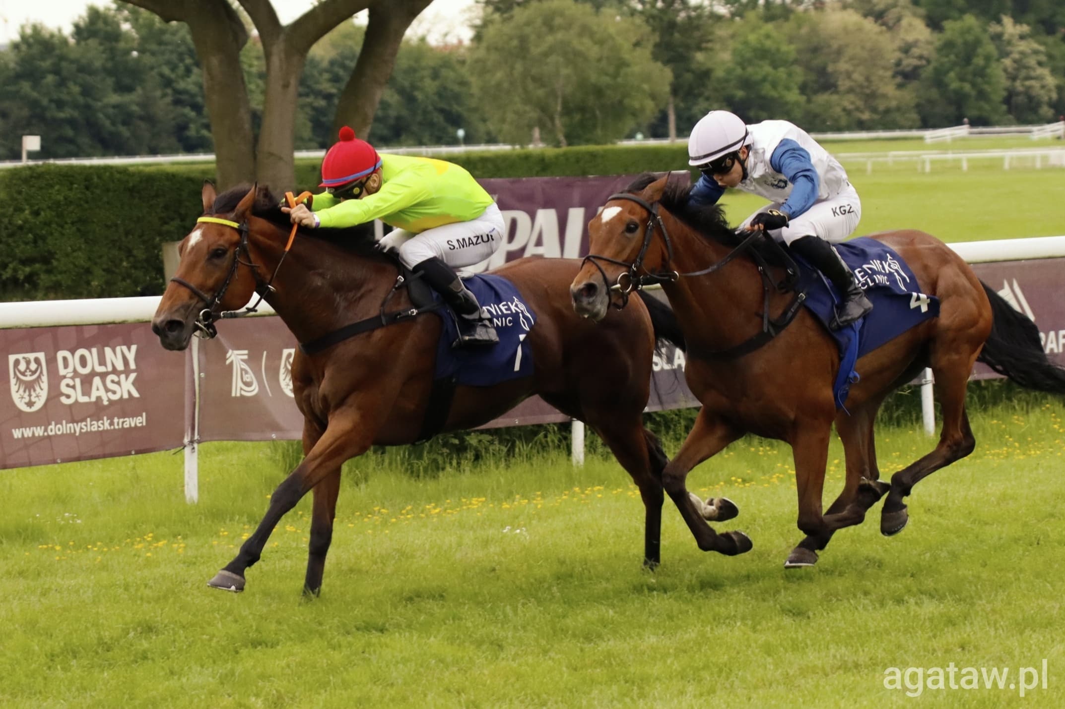 img: Nagroda Konstelacji: Cherub Rock z Niemiec minimalnie lepsza od Lady Agnieszki