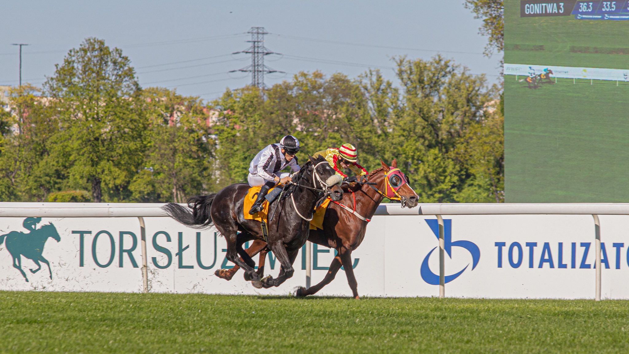 img: Rasmy i Wasmy w UAE President Cup z milionową pulą