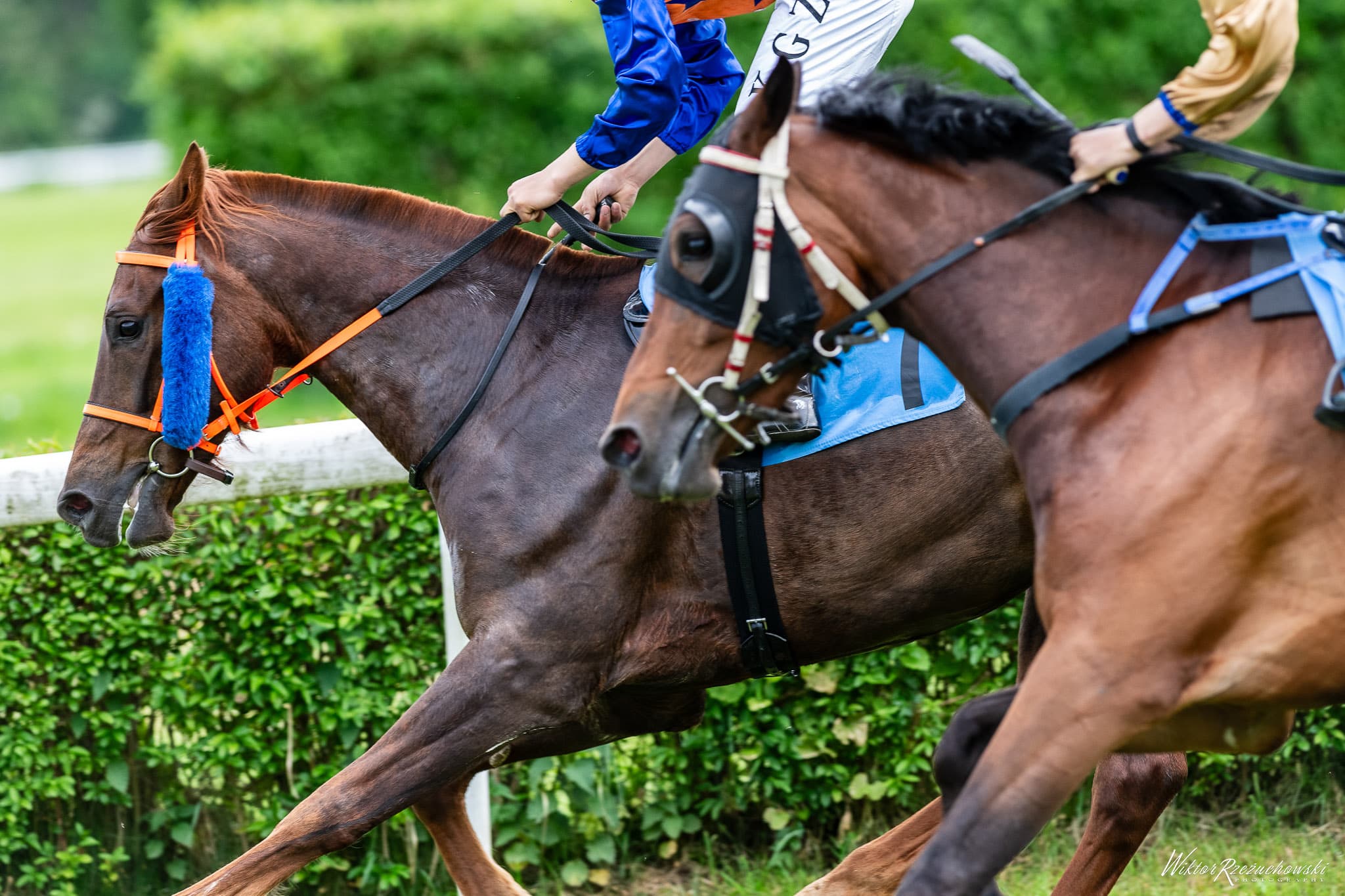 img: Royal Ascot: Rebel’s Romance nie do zatrzymania