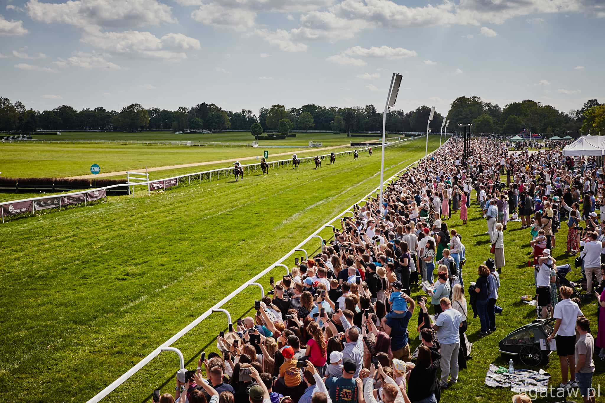 img: Wyścigowe ostatki w nadmorskim kurorcie