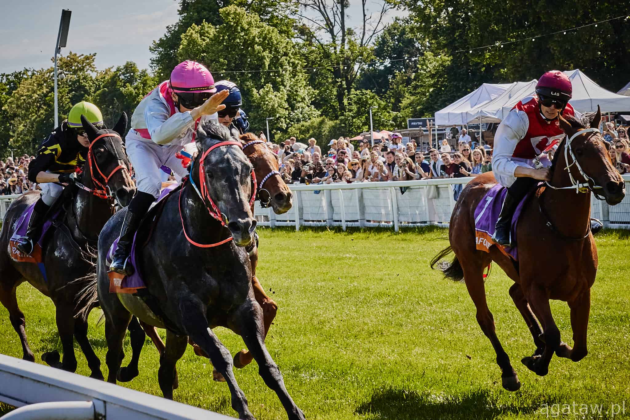 img: Partynicka ekipa na drugi dzień w Sopocie