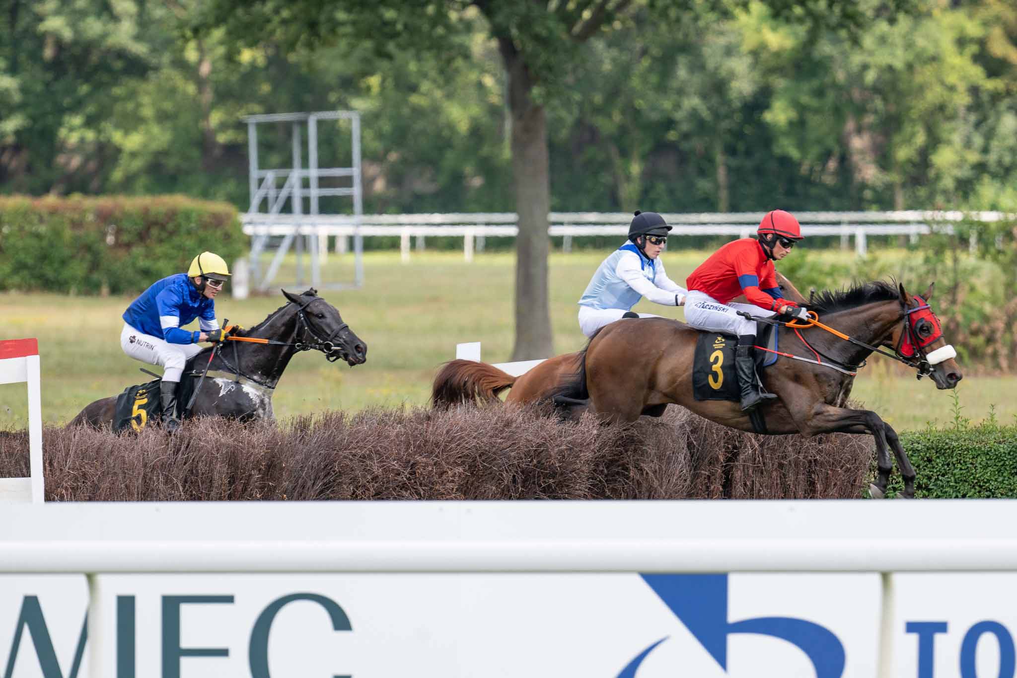 img: Dwukrotnie drugie miejsce w płotowych potyczkach na Służewcu