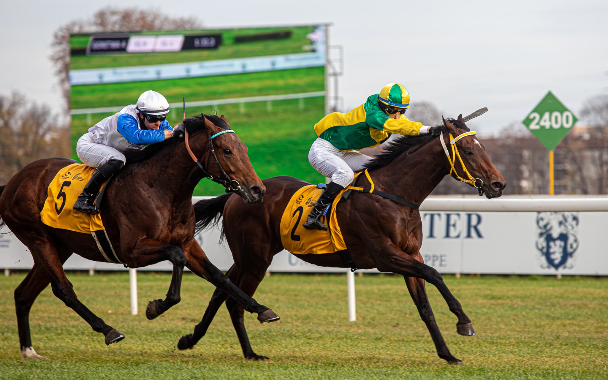 img: Akurat zwyciężył w Sopocie, Jarek Star drugi w Magdeburgu