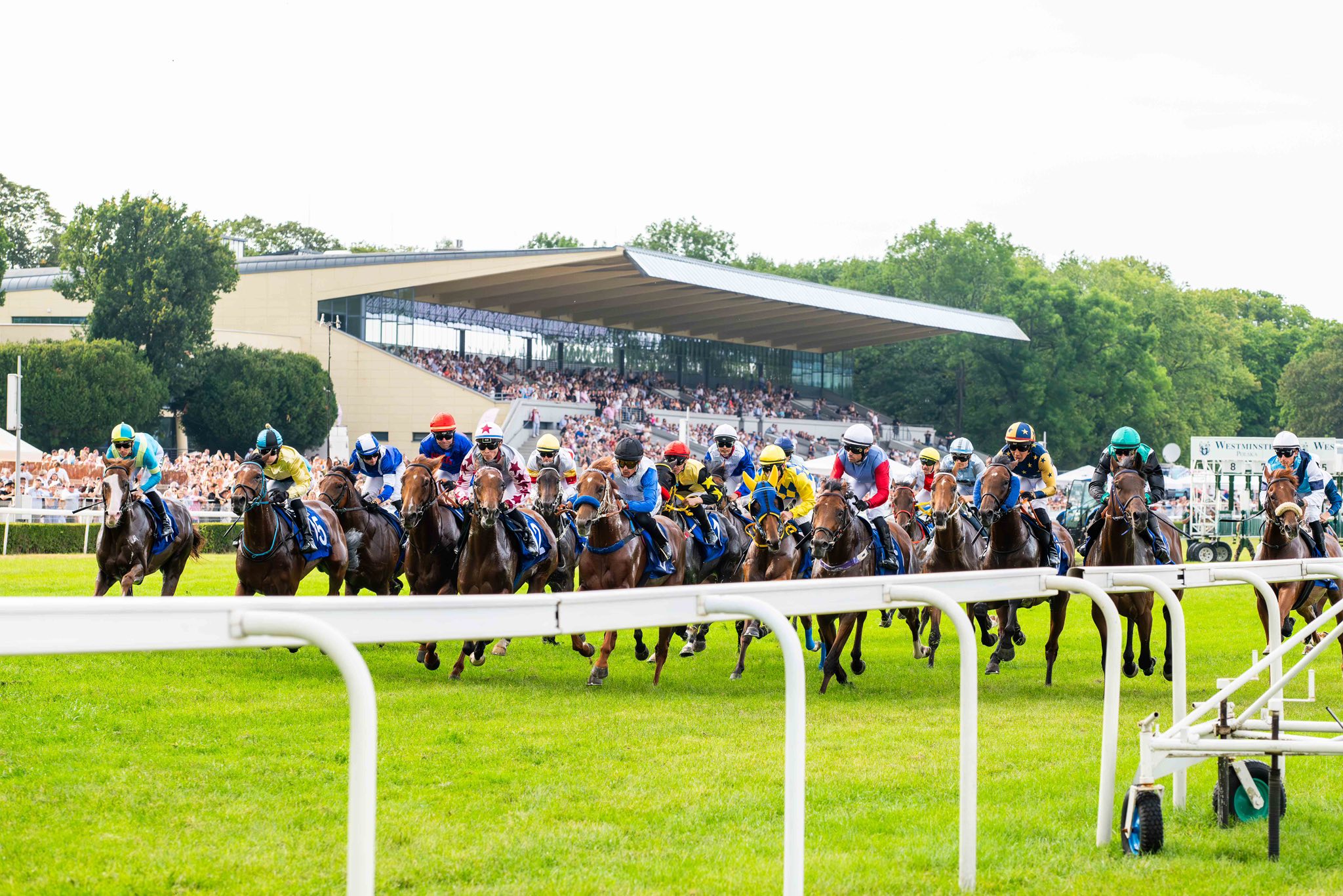 img: Nina Baltromei jako pierwsza kobieta wygrała Derby w Niemczech