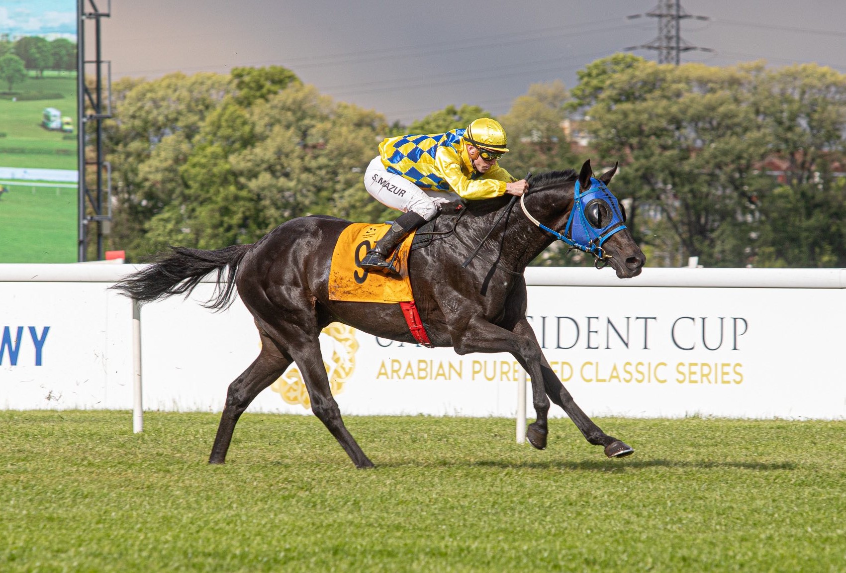 img: Oaks i Nagroda Kozienic hitami niedzieli na Służewcu