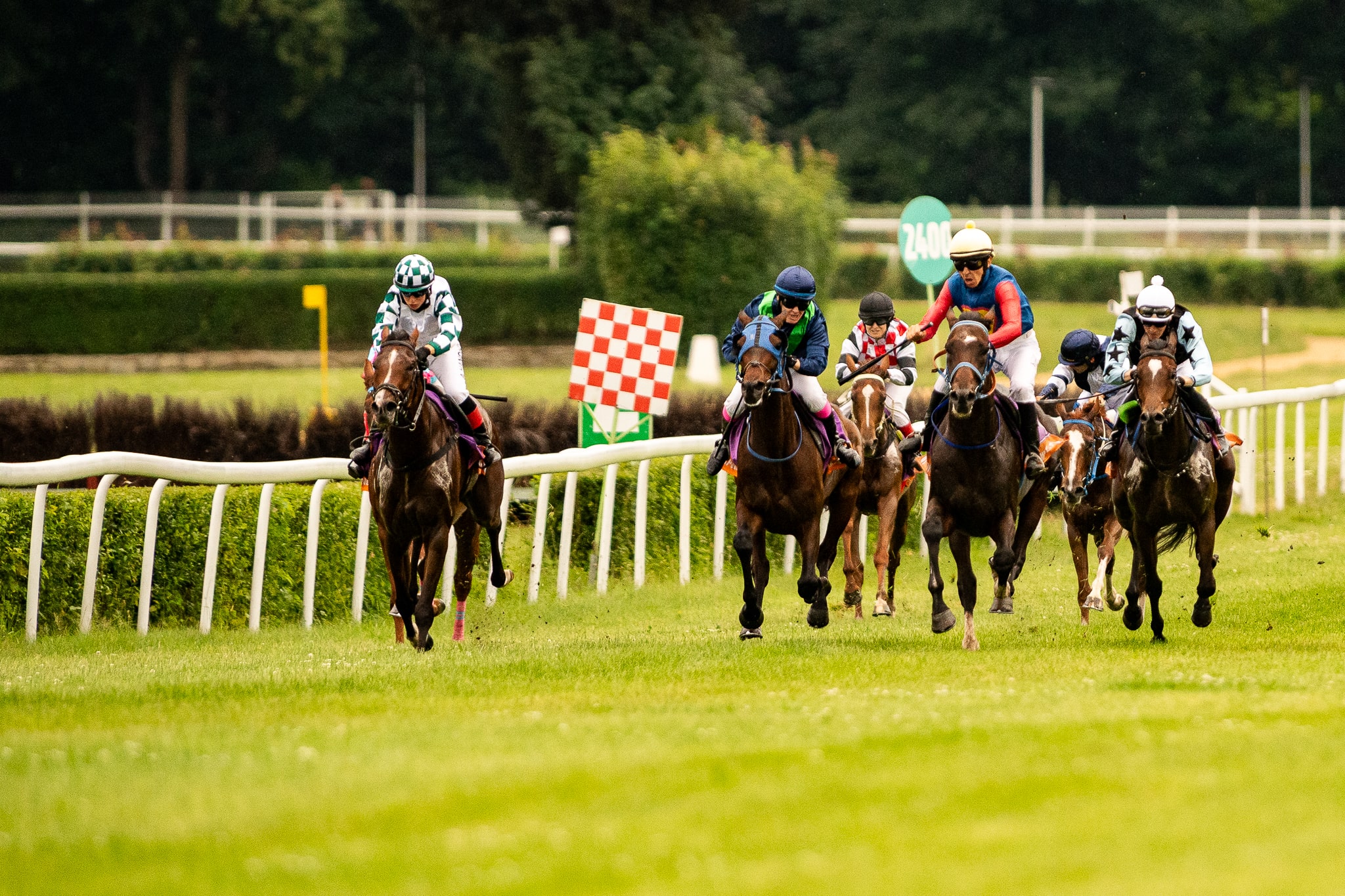img: Sopot zaprasza na wyścigi