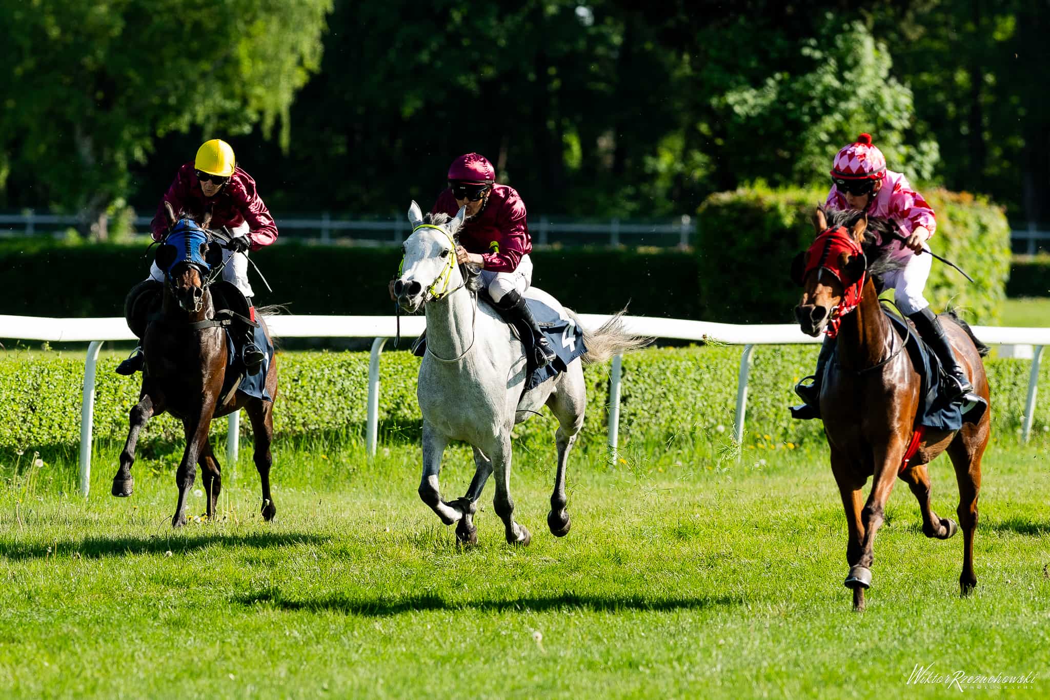 img: Sobota i niedziela w Sopocie przyniosły kolejne zwycięstwa koni z Partynic