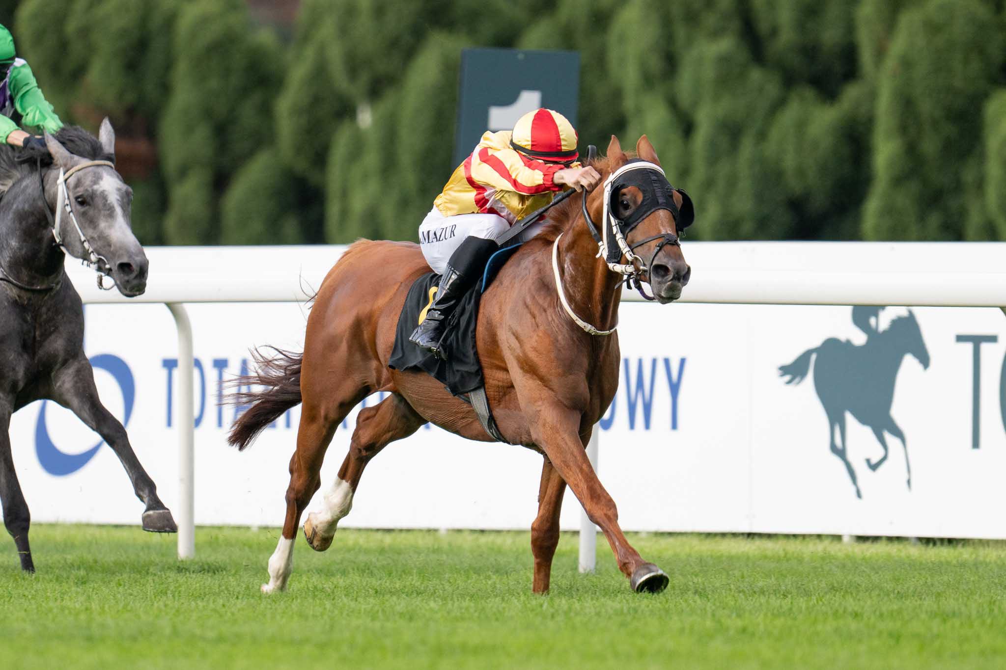 img: Partynickie zwycięstwo na Służewcu zasługą Dekhala FA