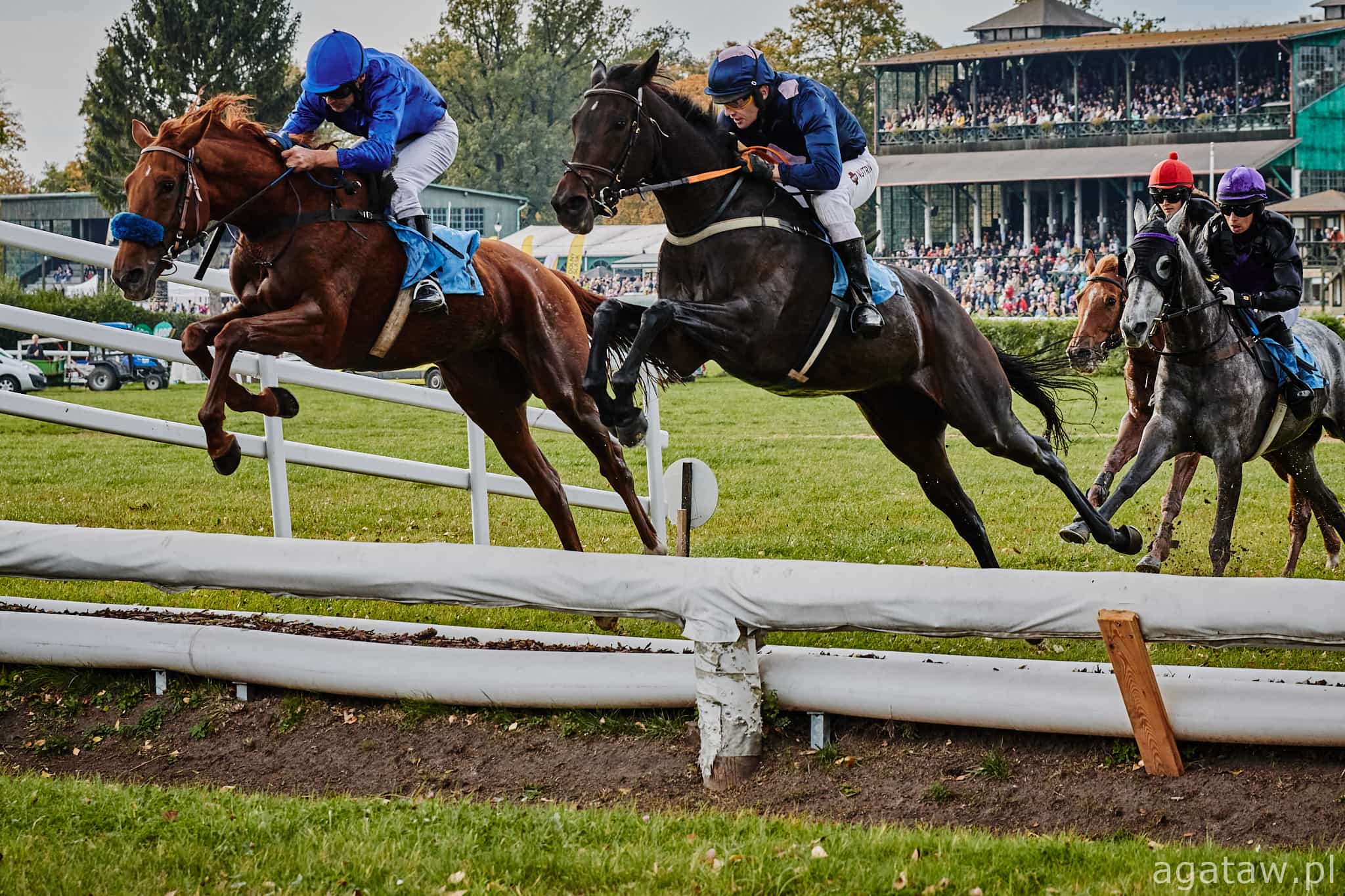 img: Trzy zwycięstwa duetu Wróblewski/Kartus w Merano