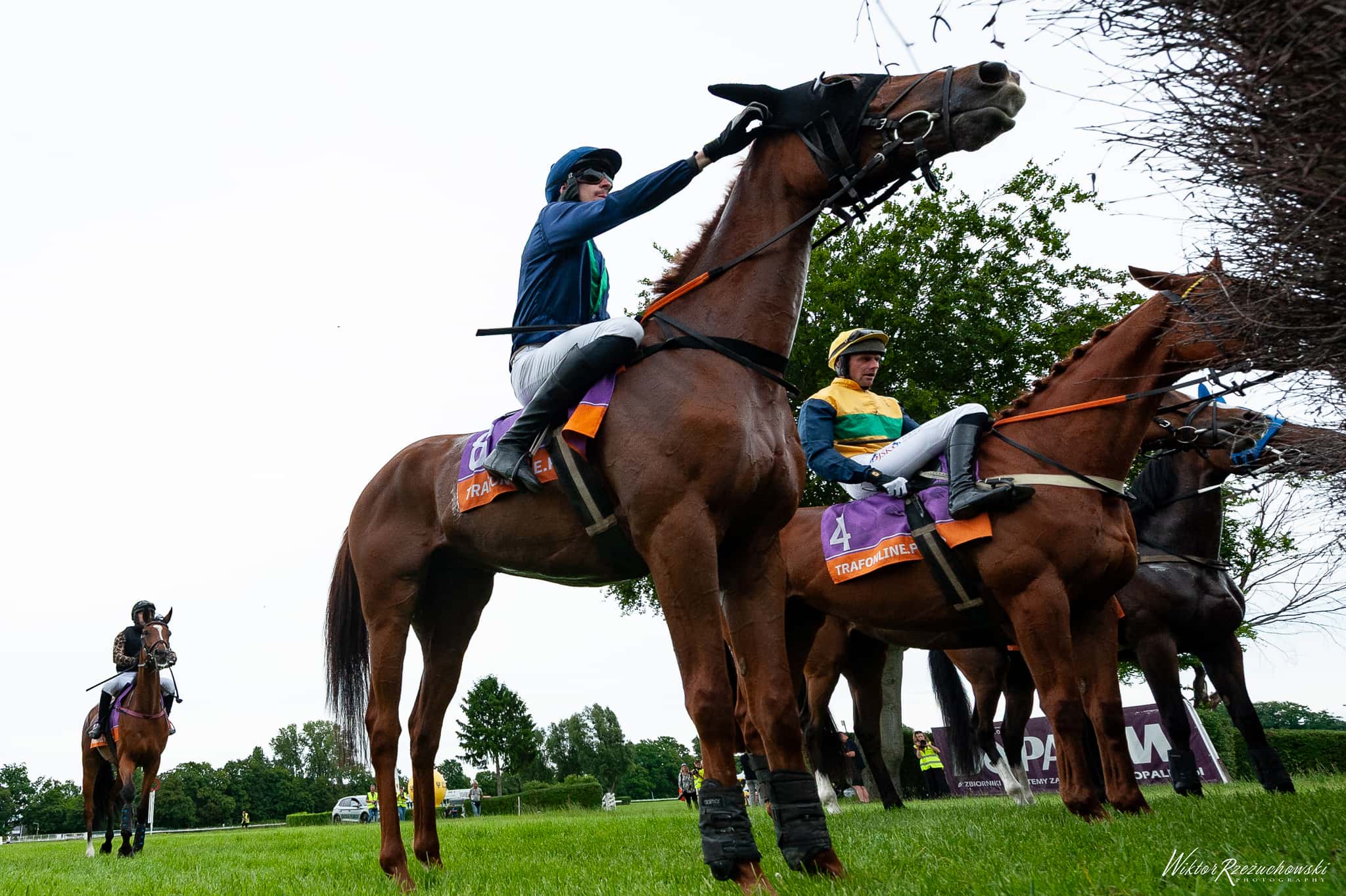 img: Niedziela z płotami: Memoriał Jerzego Eliasa i Nagroda Baracza