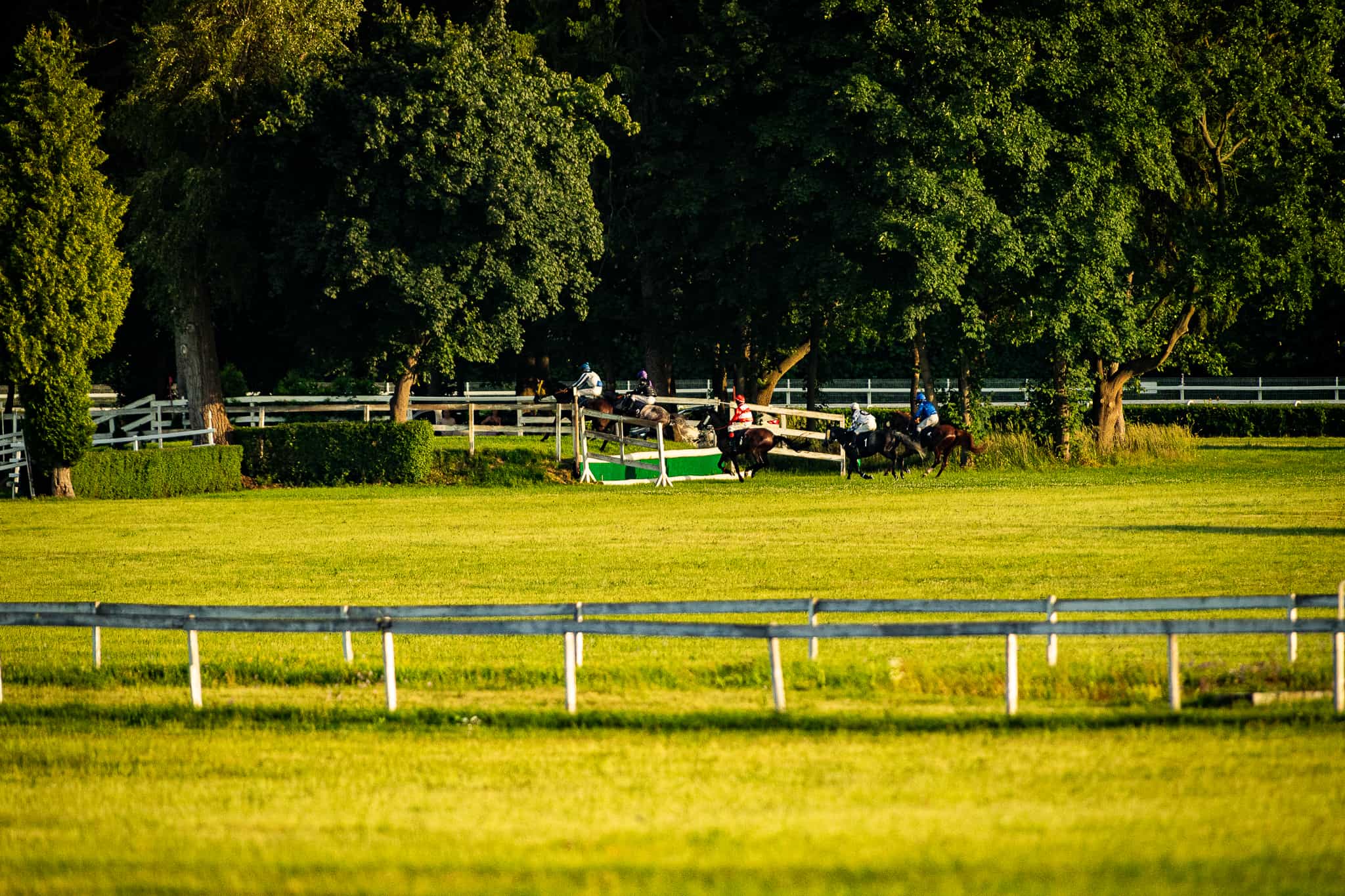 img: Gwiazda krosów na Wyspach rzuca wyzwanie taxisowi