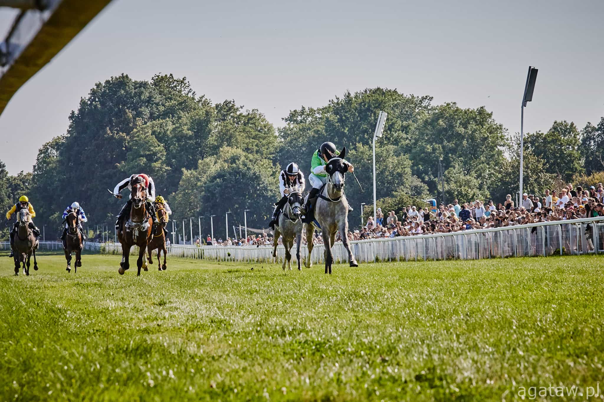 img: Młodzi jeźdźcy powalczą o punkty do czempionatu