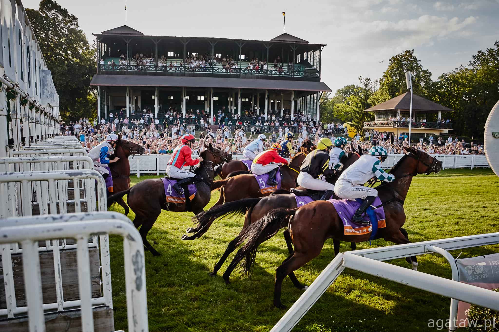 img: Zwycięzca z Royal Ascot w węgierskim hicie sezonu