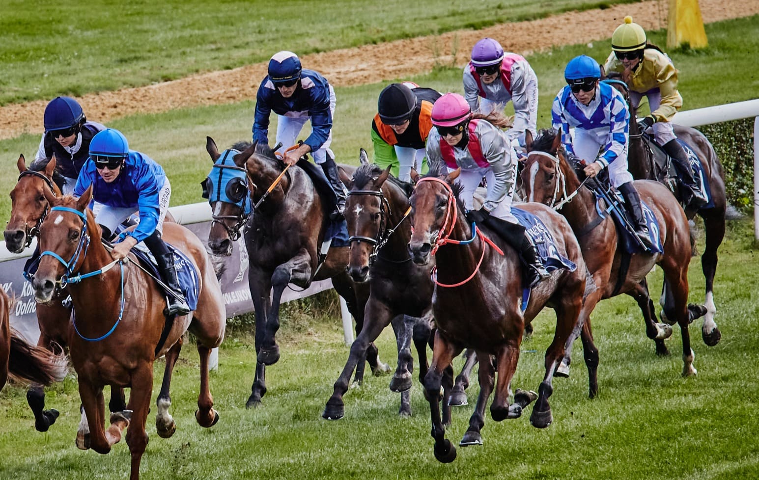 img: Niespodzianki nie było – faworyt Claymore wygrał Kincsem Dij