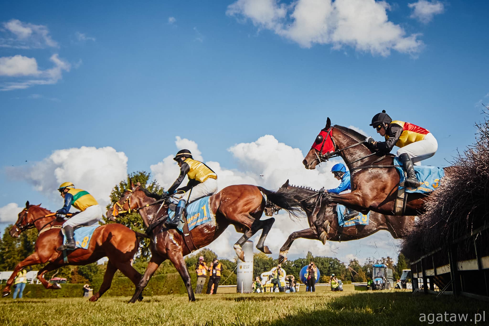 img: El Pago Pago i Fast Devil powalczą w Wielkiej Służewieckiej