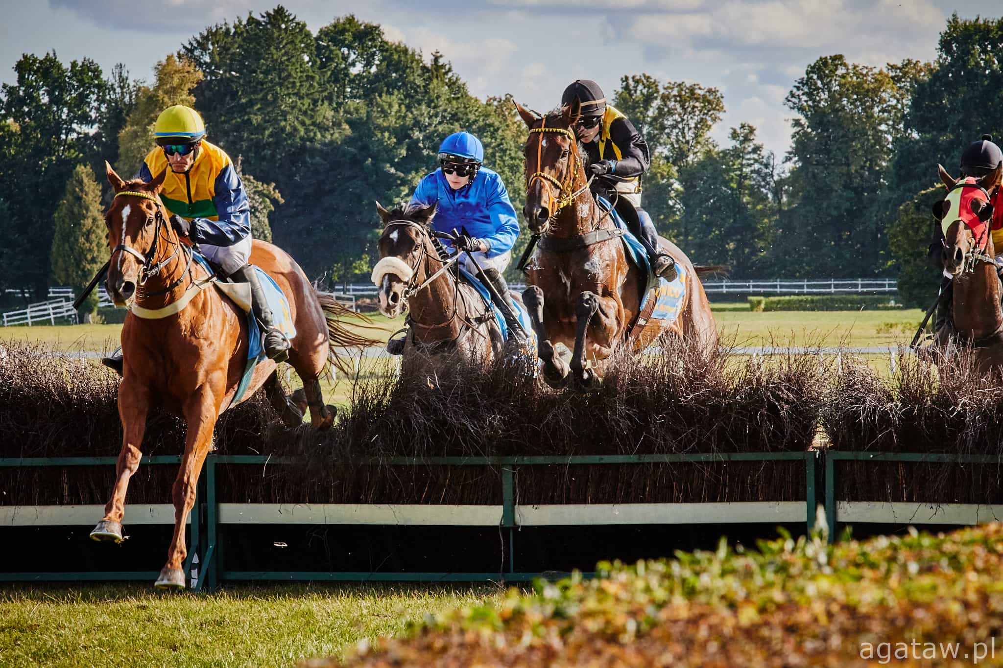 img: Speed Emile za szybki dla rywali