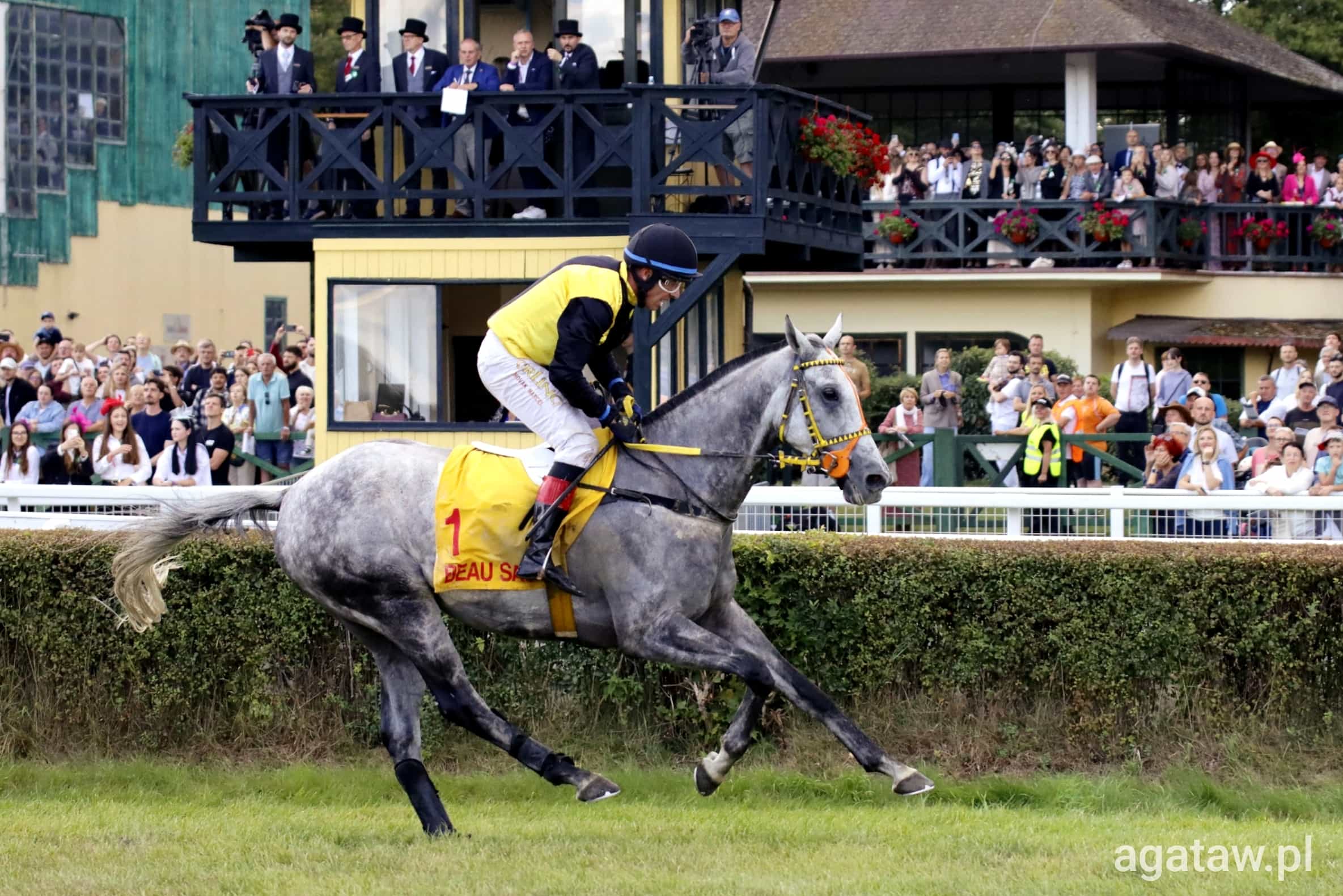 img: Beau Saonois wygrał Wielką Wrocławską, Kaja najlepsza w Wielkiej Partynickiej