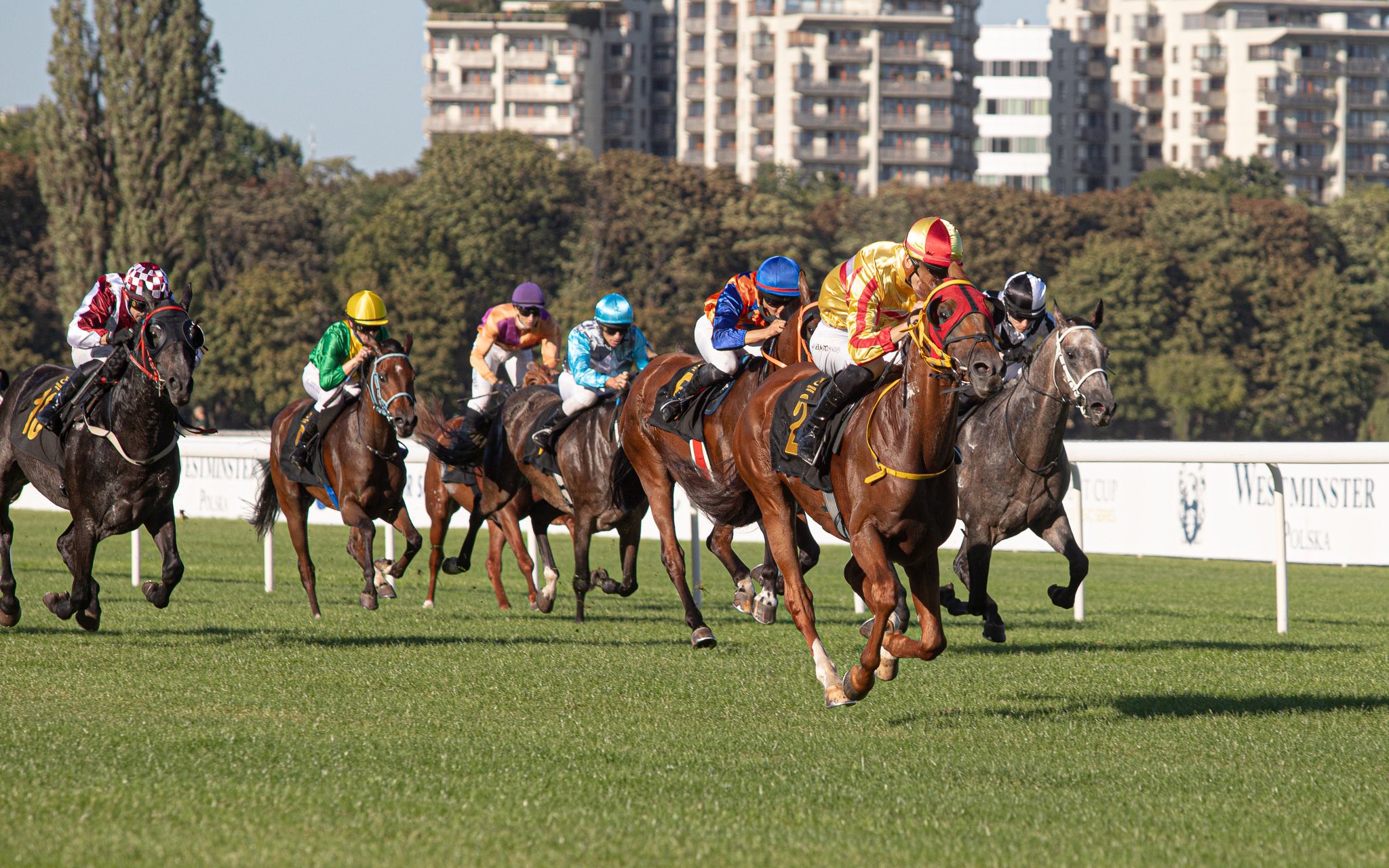 img: Dekhal FA wygrał Nagrodę Eldona