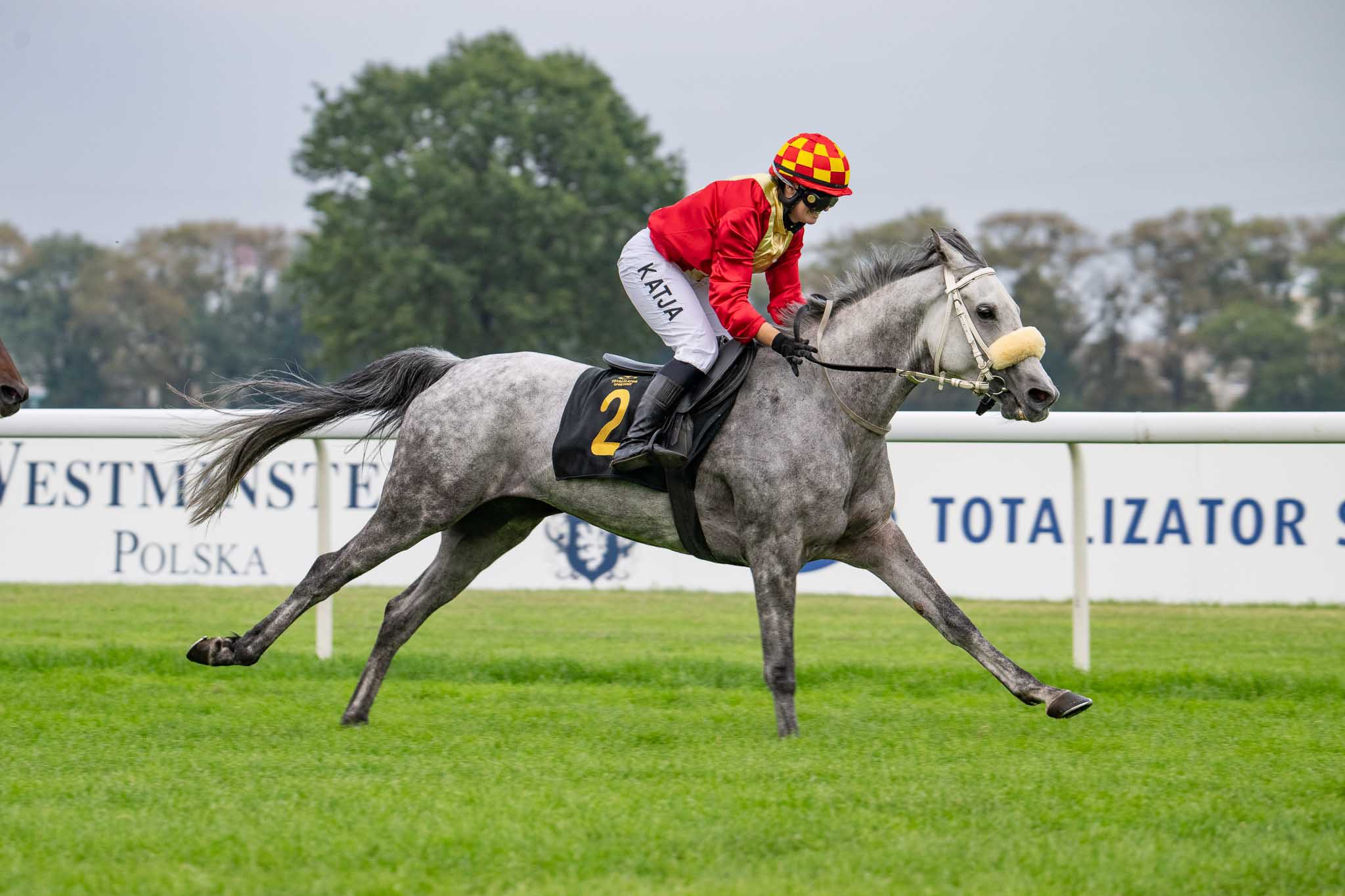 img: Dioriska wygrała, Wagi drugi w Nagrodzie Amuratha