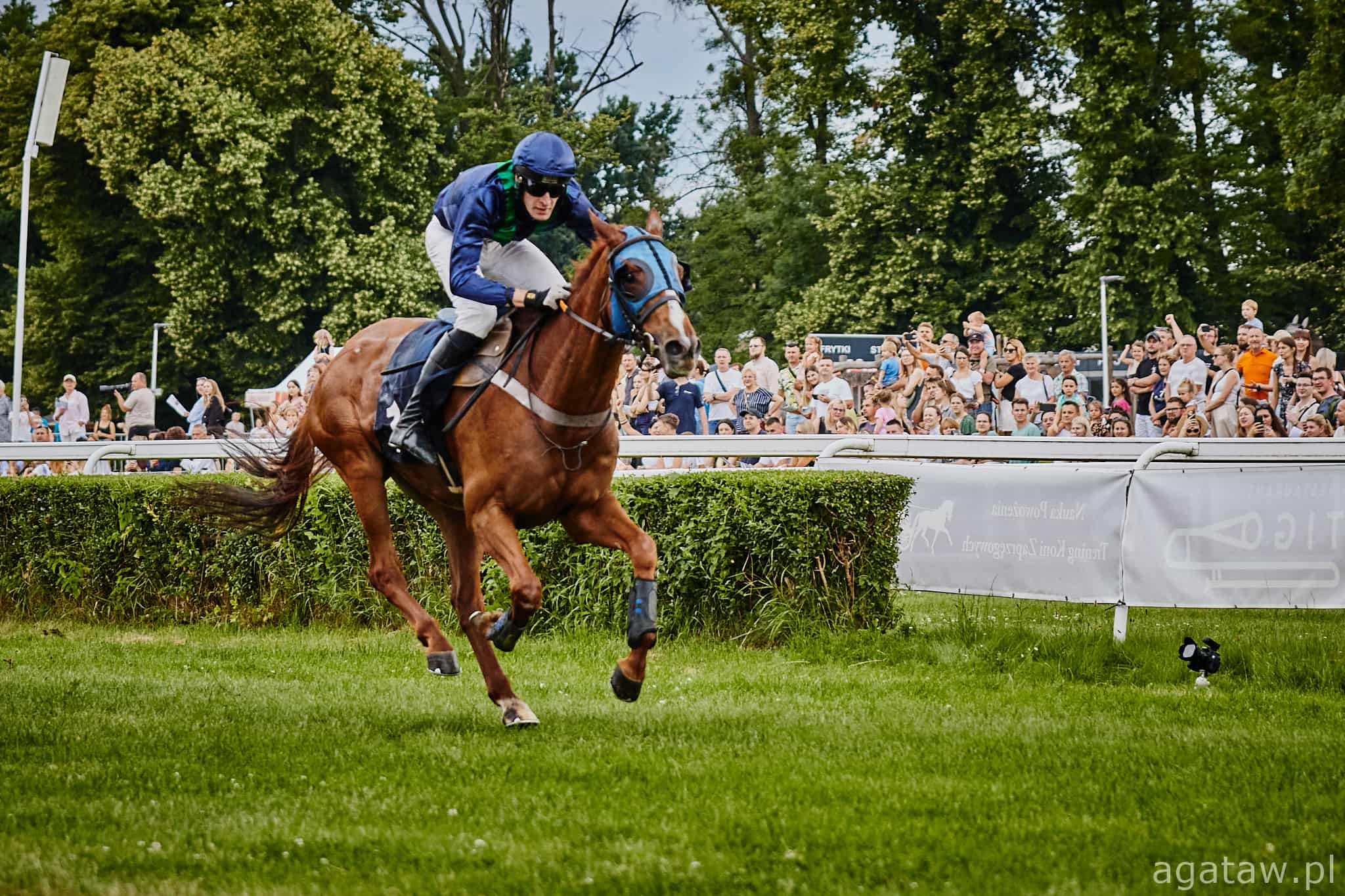 img: Z Partynic do Merano