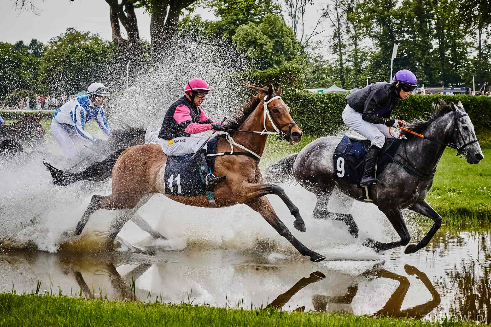 img: Partynicki Jadmir celuje w Crystal Cup