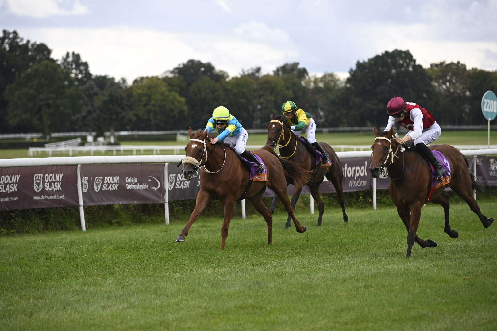 img: Royal Angel zdecydowanie wygrywa rywalizację dwulatków