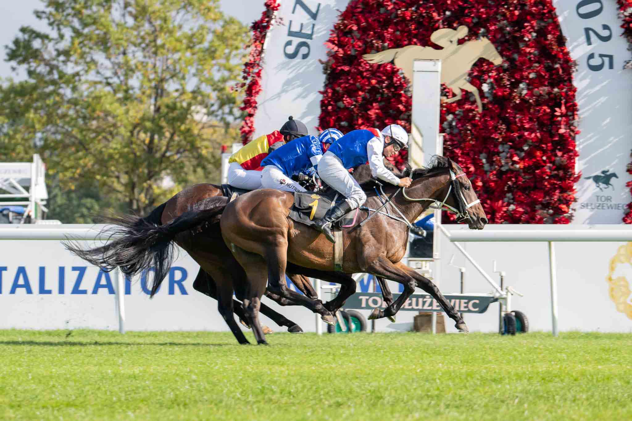 img: Płotowy dreszczowiec dla El Pago Pago