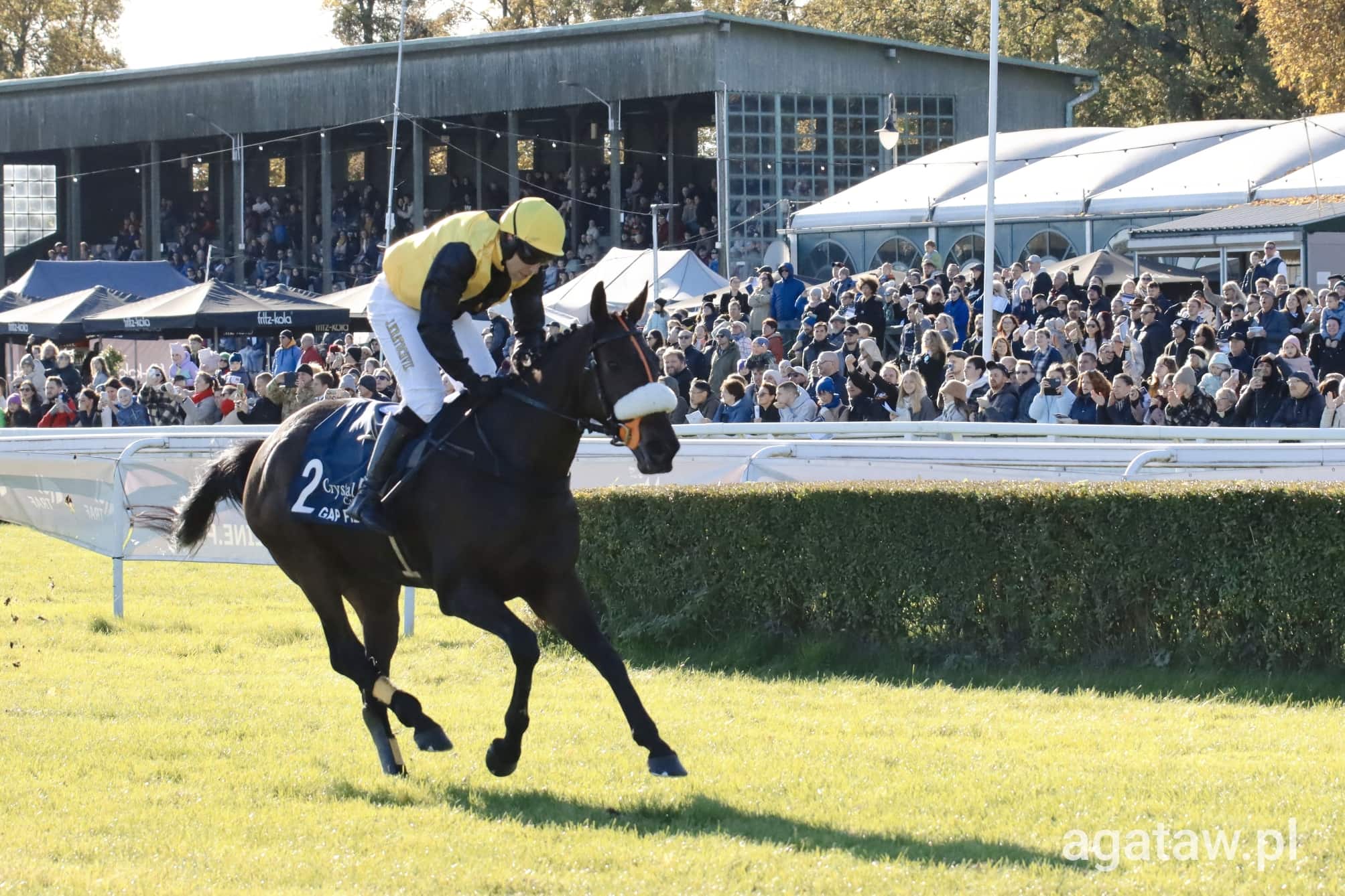 img: Gap Pierji drugi raz z rzędu triumfuje w Crystal Cup