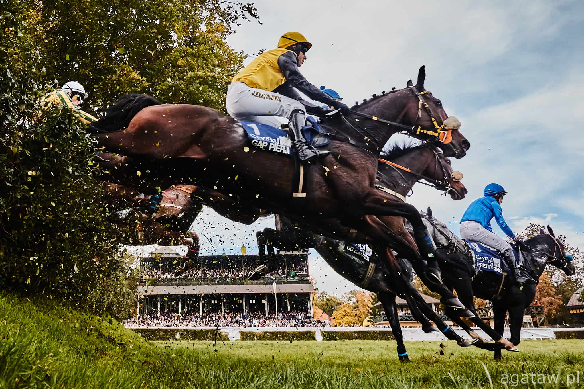 img: Gap Pierji i Her Him powalczą o drugi triumf w Crystal Cup