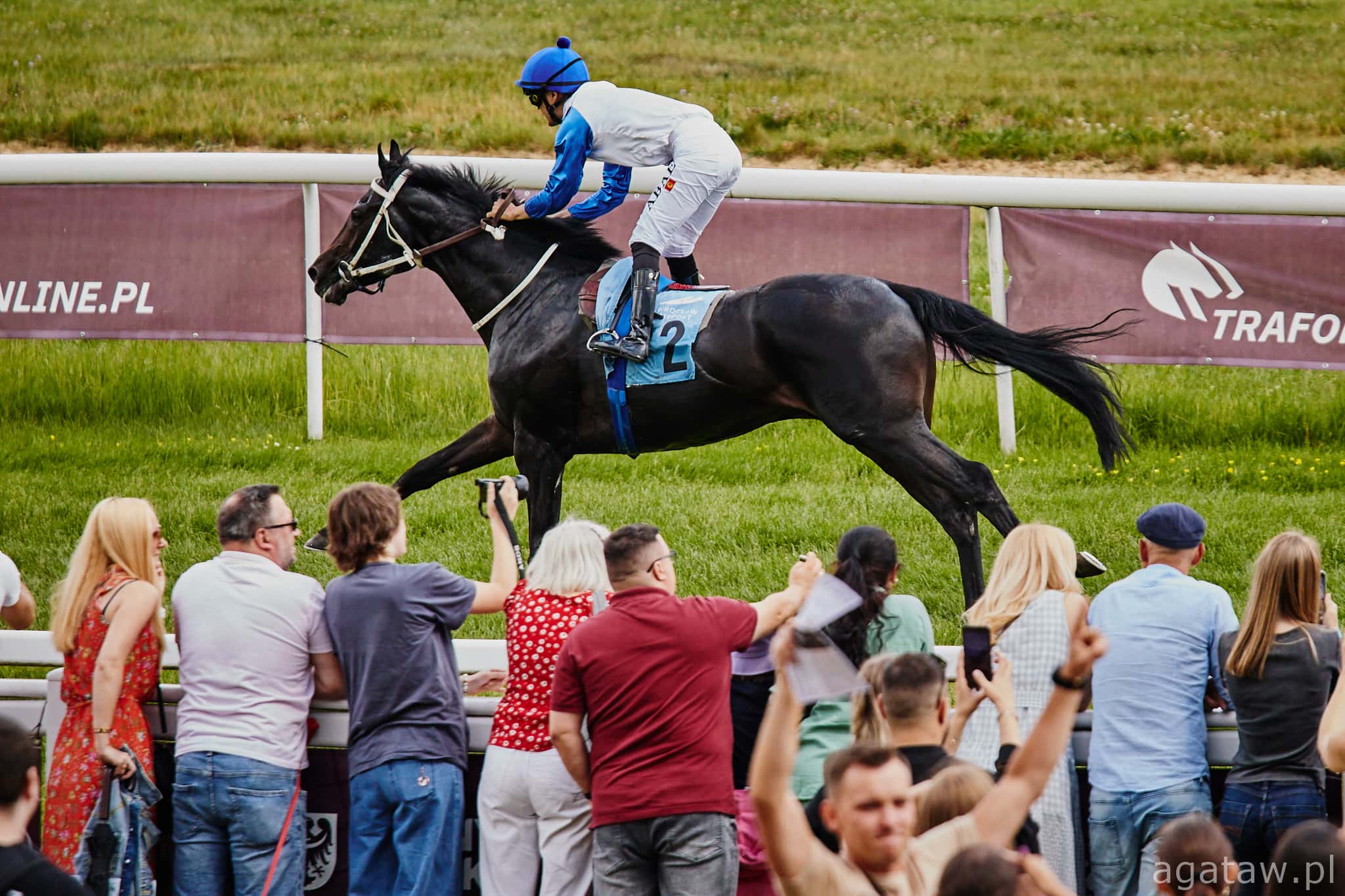 img: Polskie triumfy na europejskich torach: Naughty Peter w Rzymie, Only Luck w Hanowerze