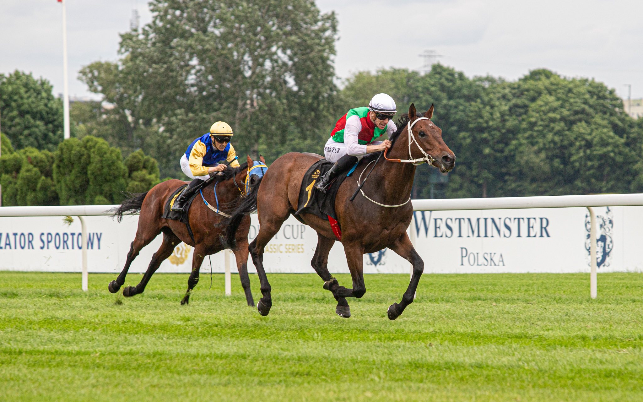 img: Shamadram w międzynarodowym towarzystwie