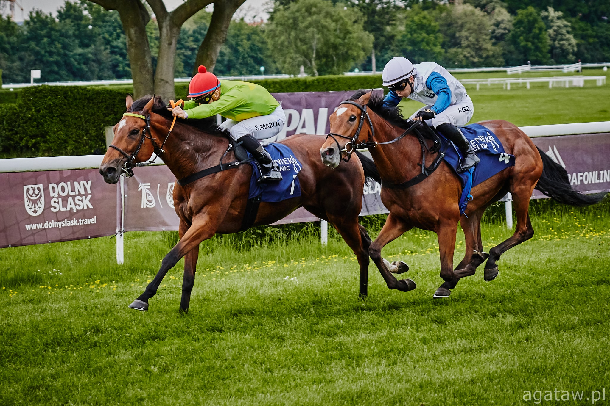 img: Dwa zwycięstwa na dobry początek