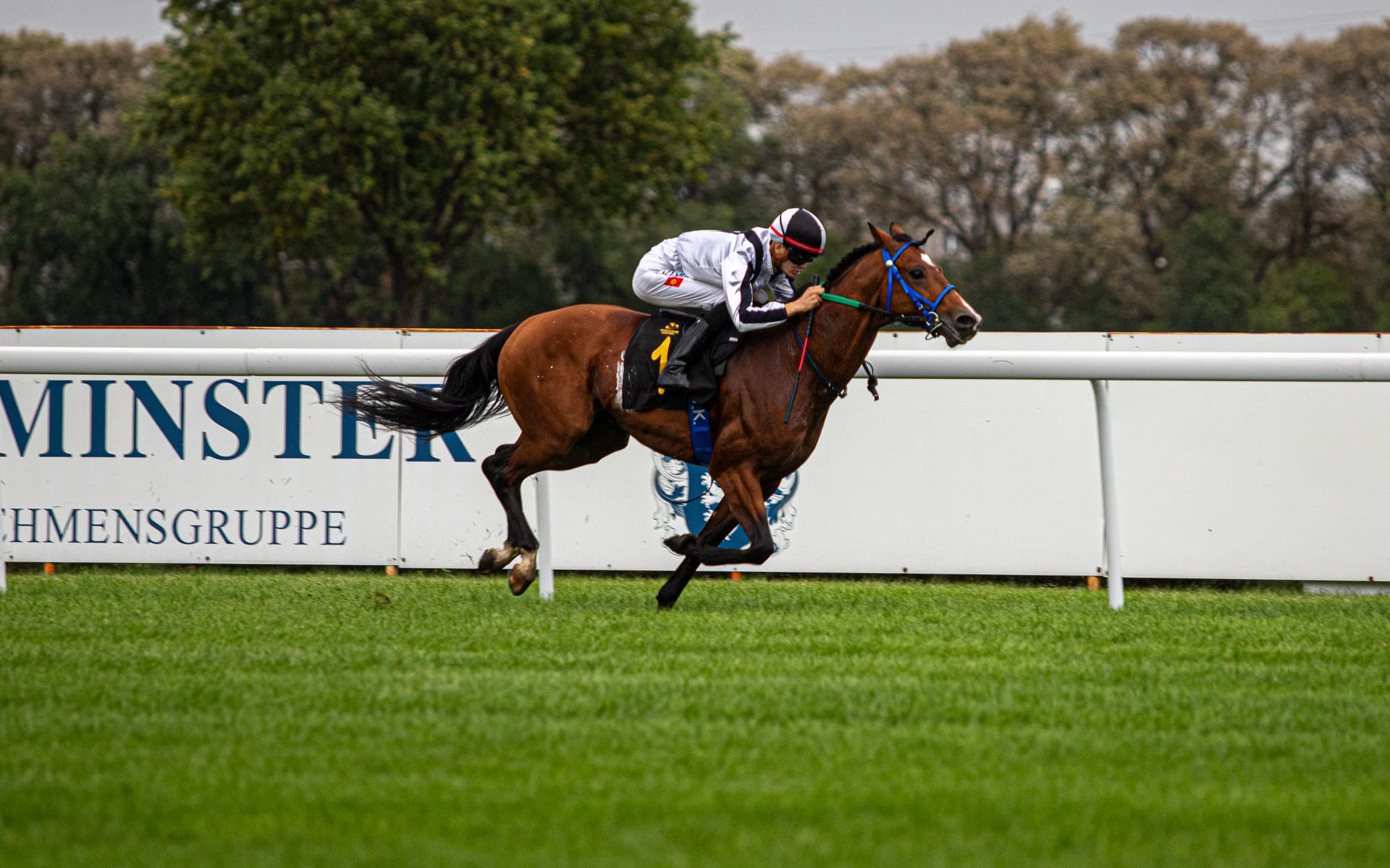 img: Wasmy Al Khalediah wygrał sprint w Szwecji