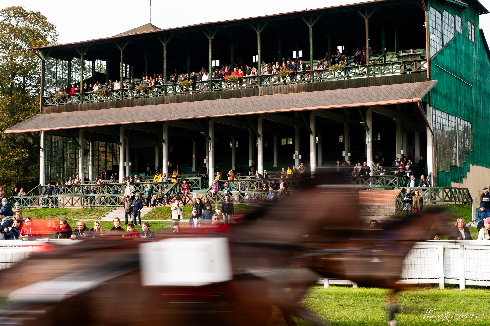 img: Nagroda Cheval Francais, czyli spotkanie na szczycie kłusaków francuskich