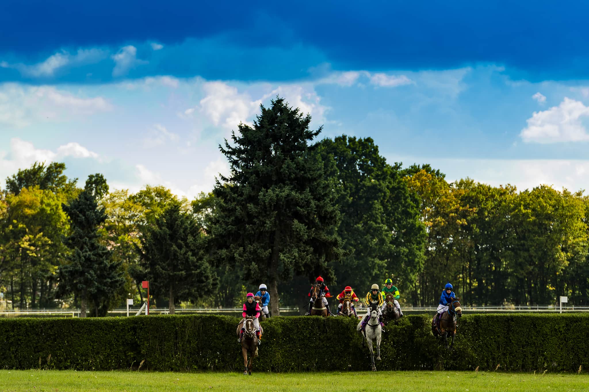 img: Stumptown – wielka nadzieja Irlandczyków na wygranie Wielkiej Pardubickiej