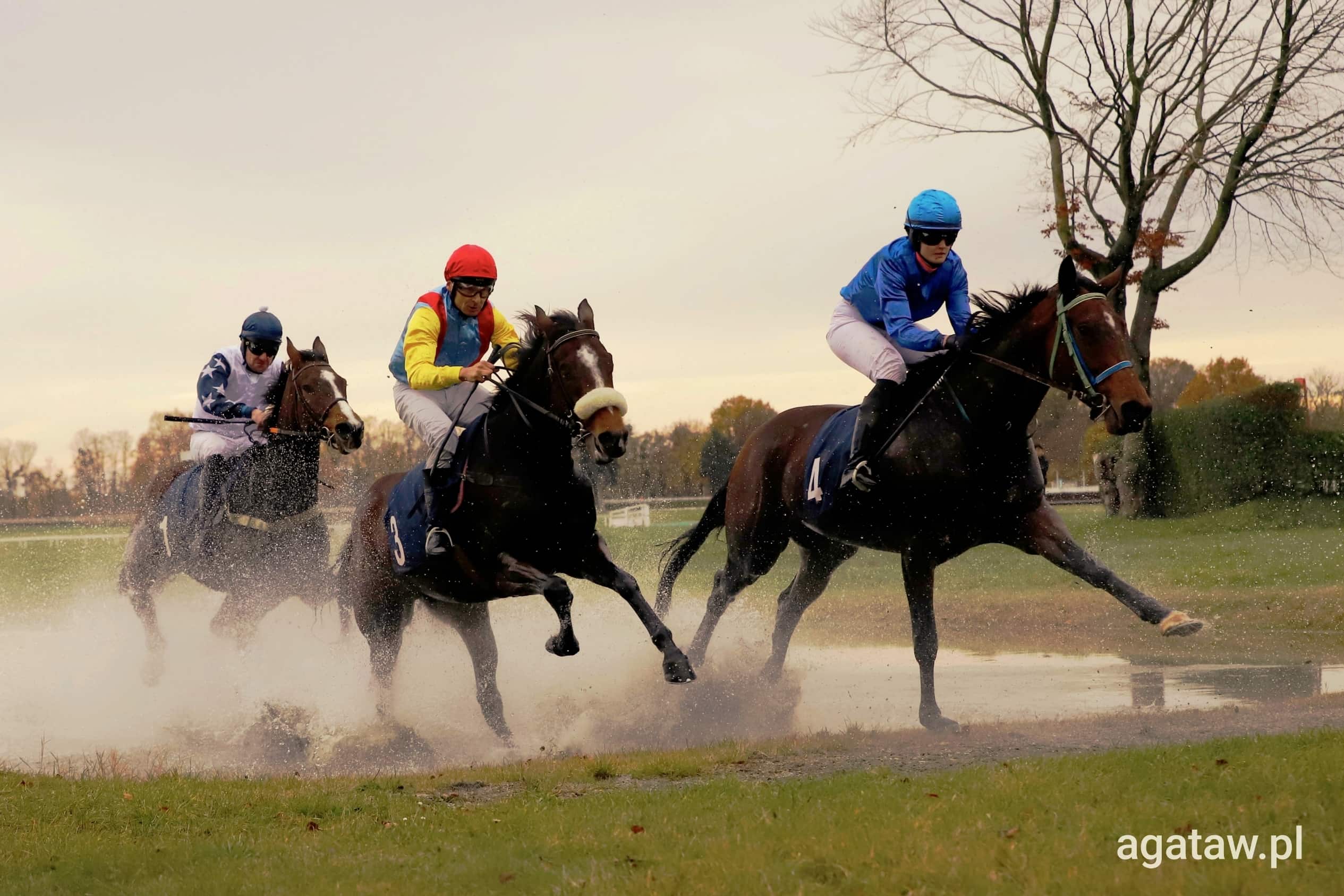 img: White Wood zwycięstwem z miejsca do miejsca zamyka sezon