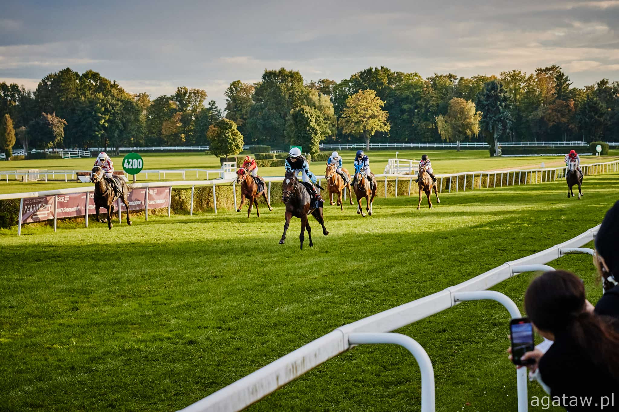 img: Wessana i Namera Me w Nagrodzie Sasanki