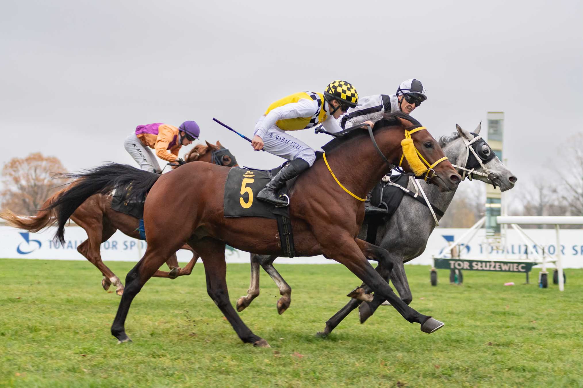 img: Adon Al Khalediah dołącza do grona zwycięzców