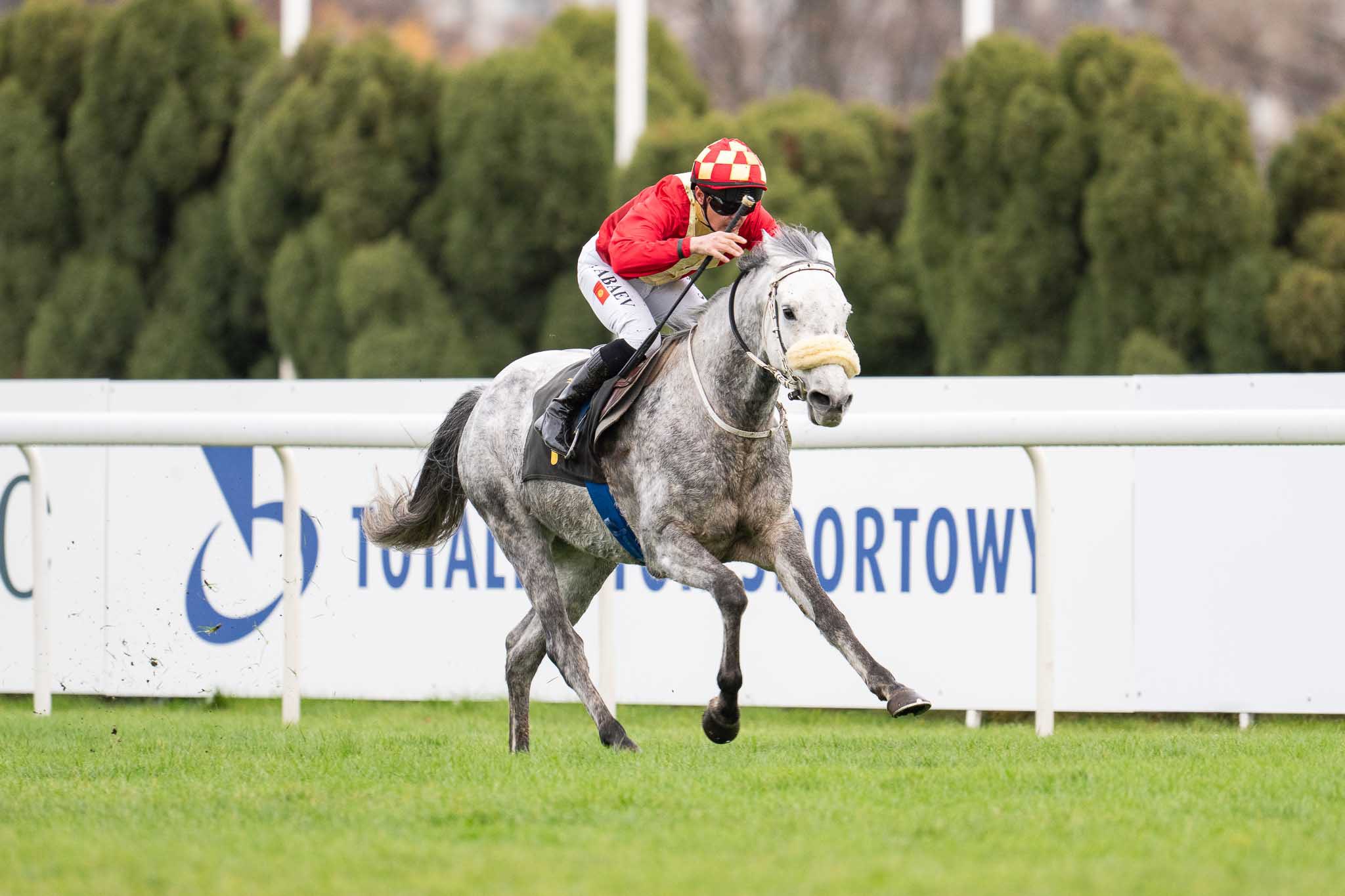 img: Wygrana Dioriski, Namera Me druga w Nagrodzie Sasanki