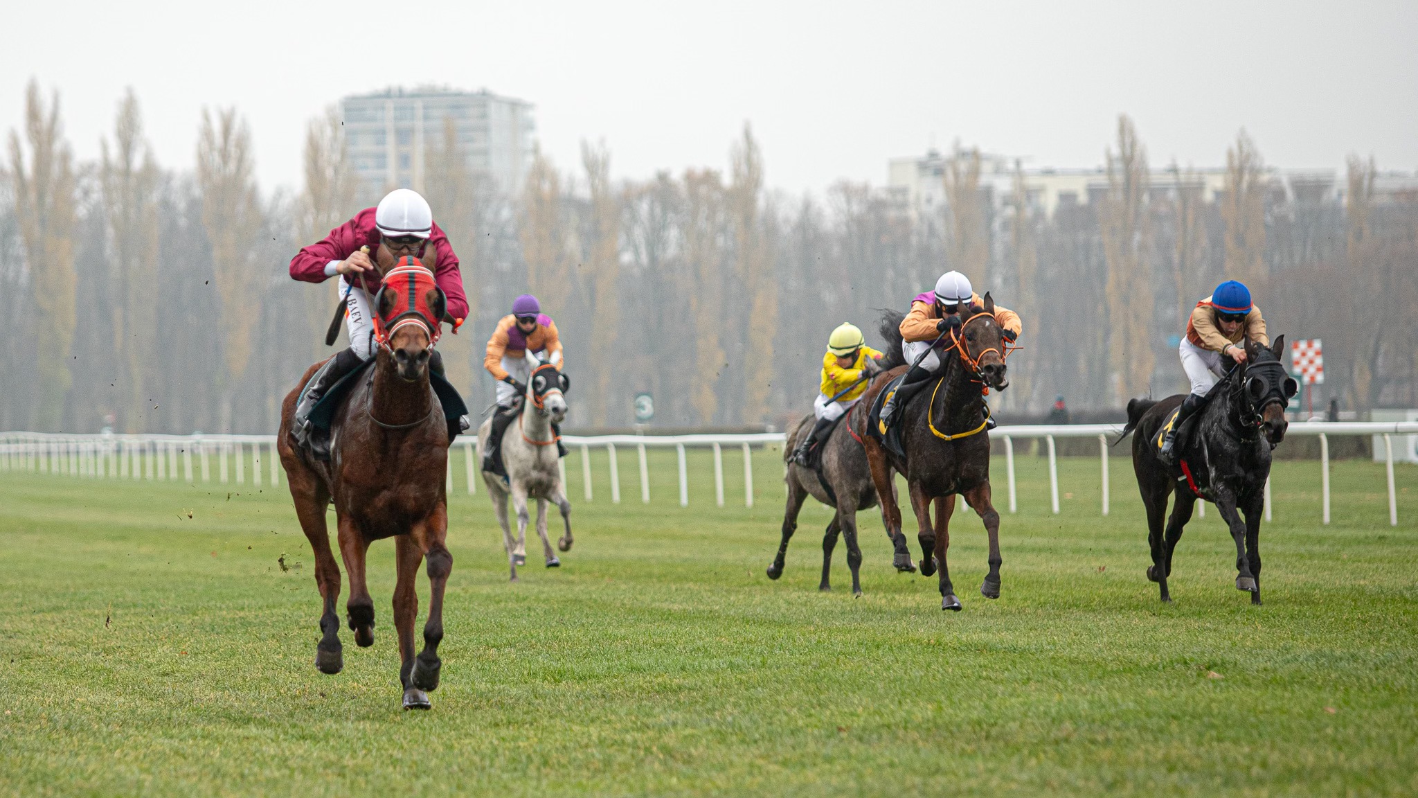 img: Protesta wygrywa o nos
