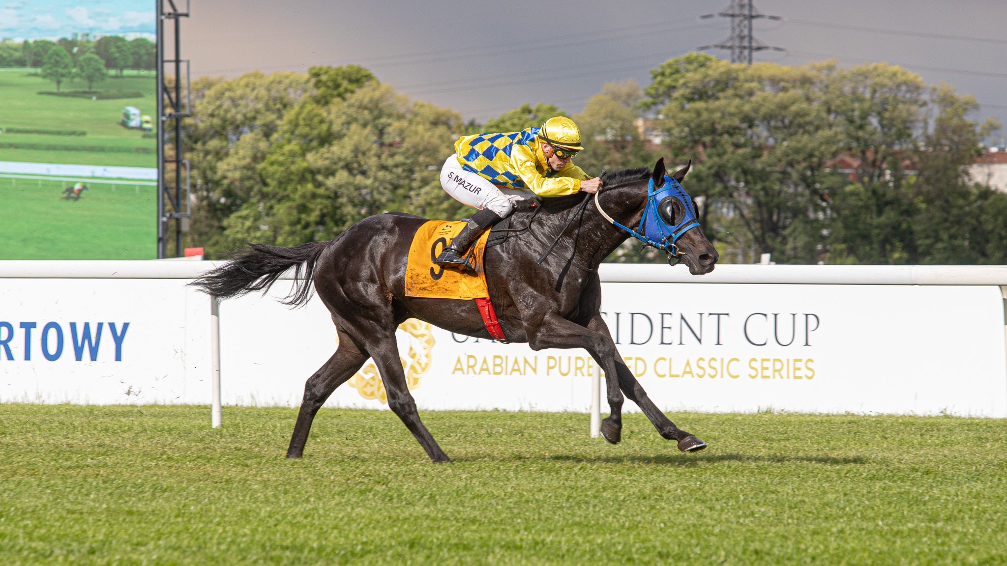 img: Z Partynic do Mediolanu: Smoke Plume w G3 Premio Federico Tessio